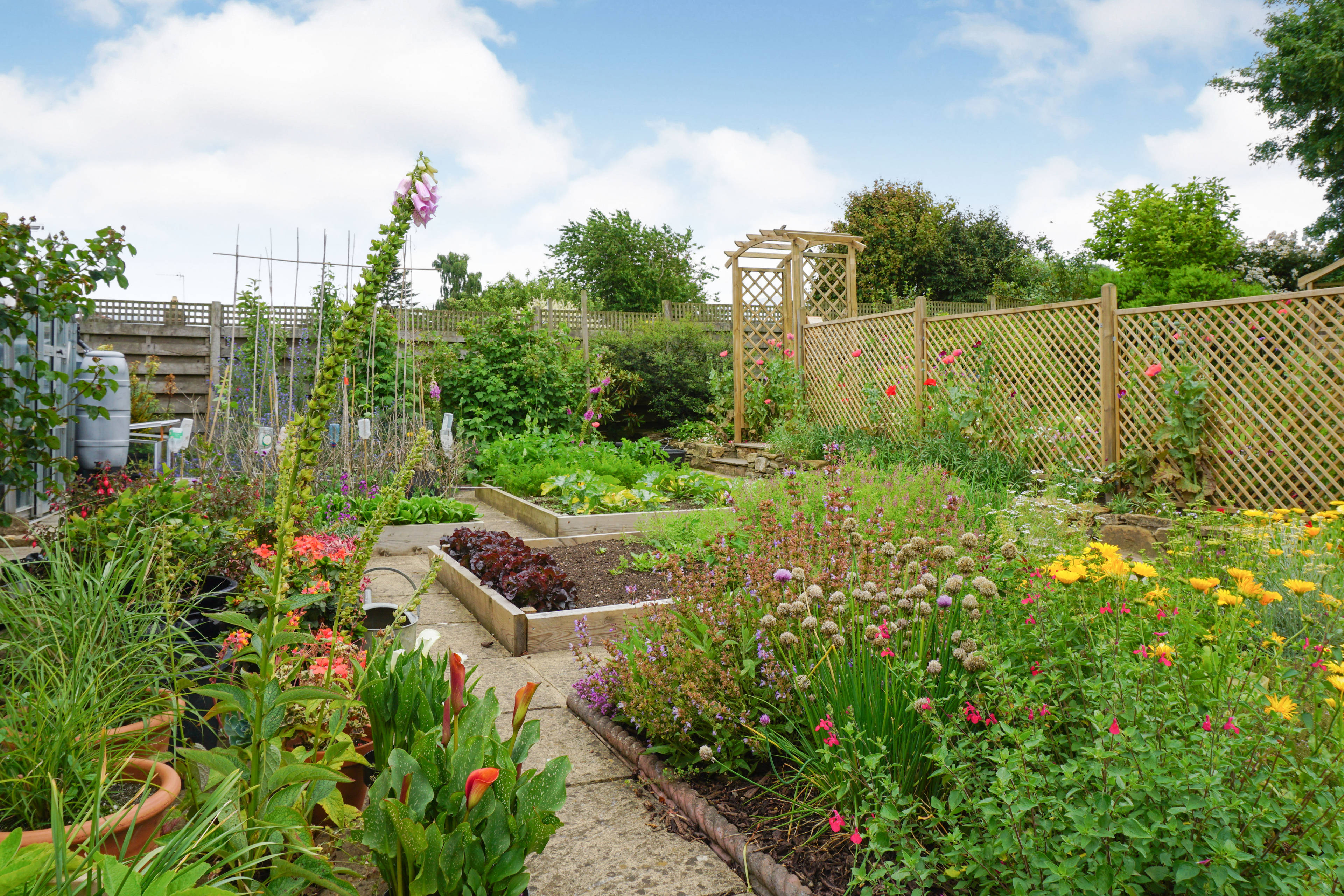 Garden