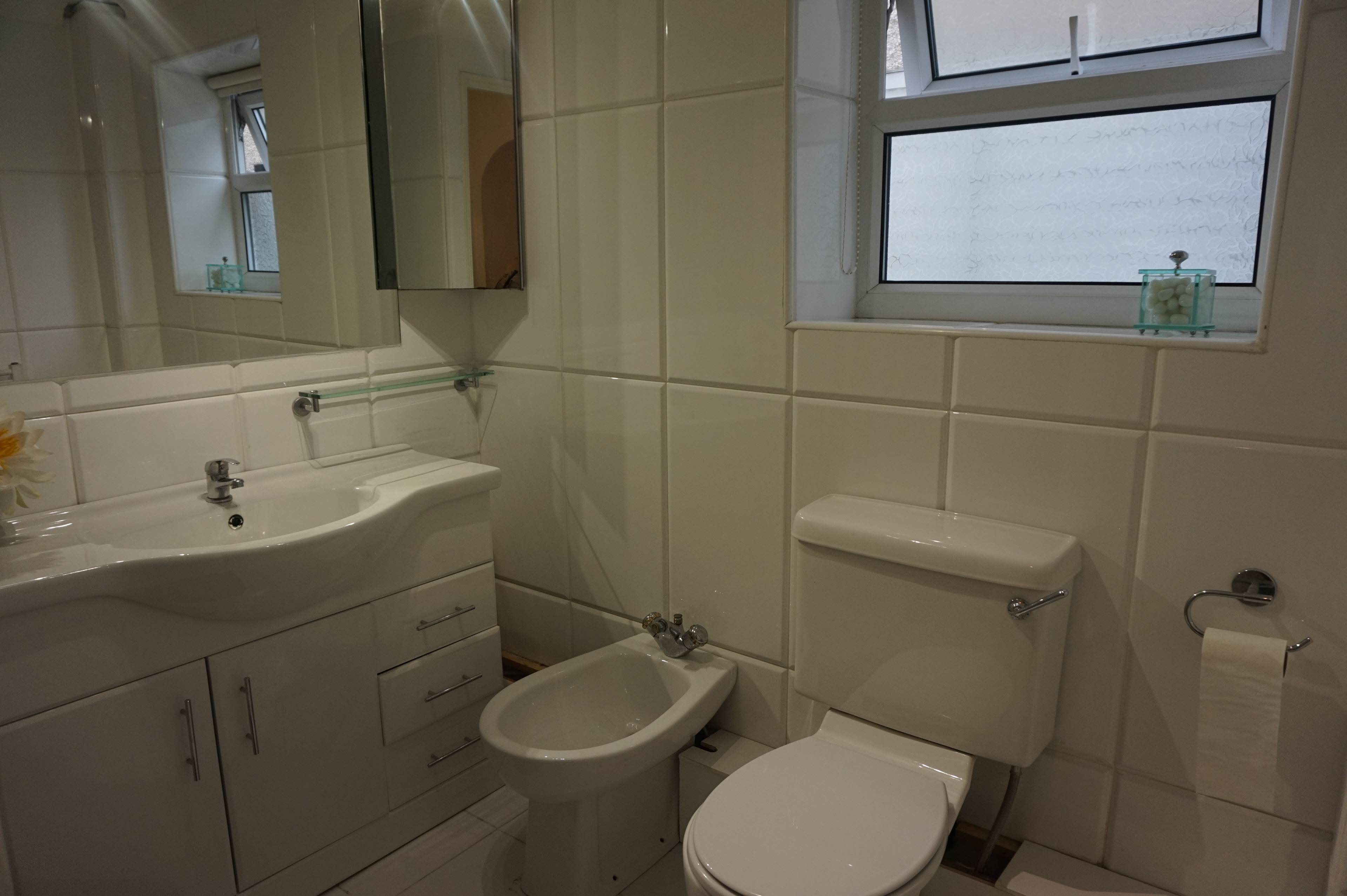 Downstairs Shower