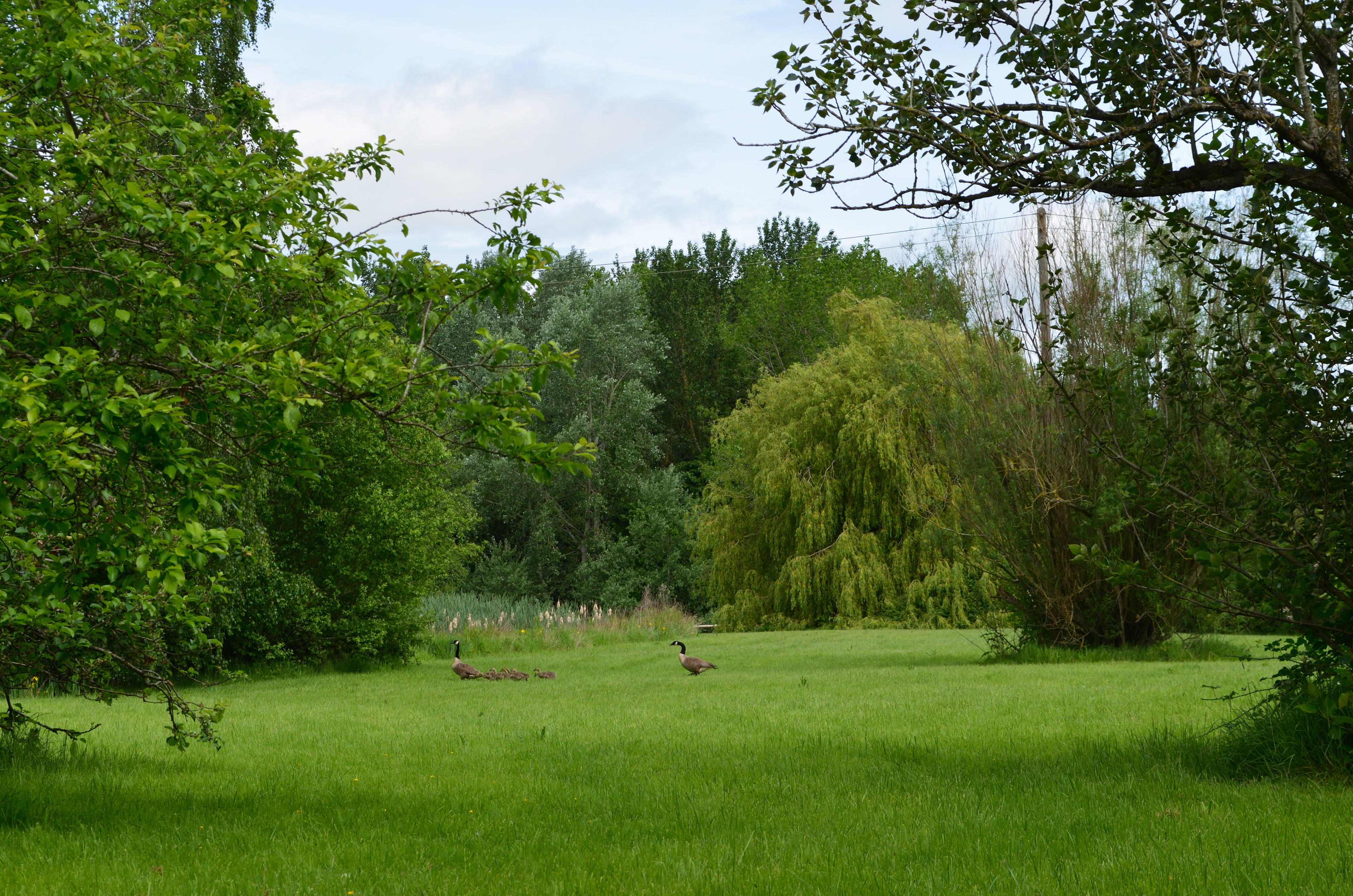 Gardens