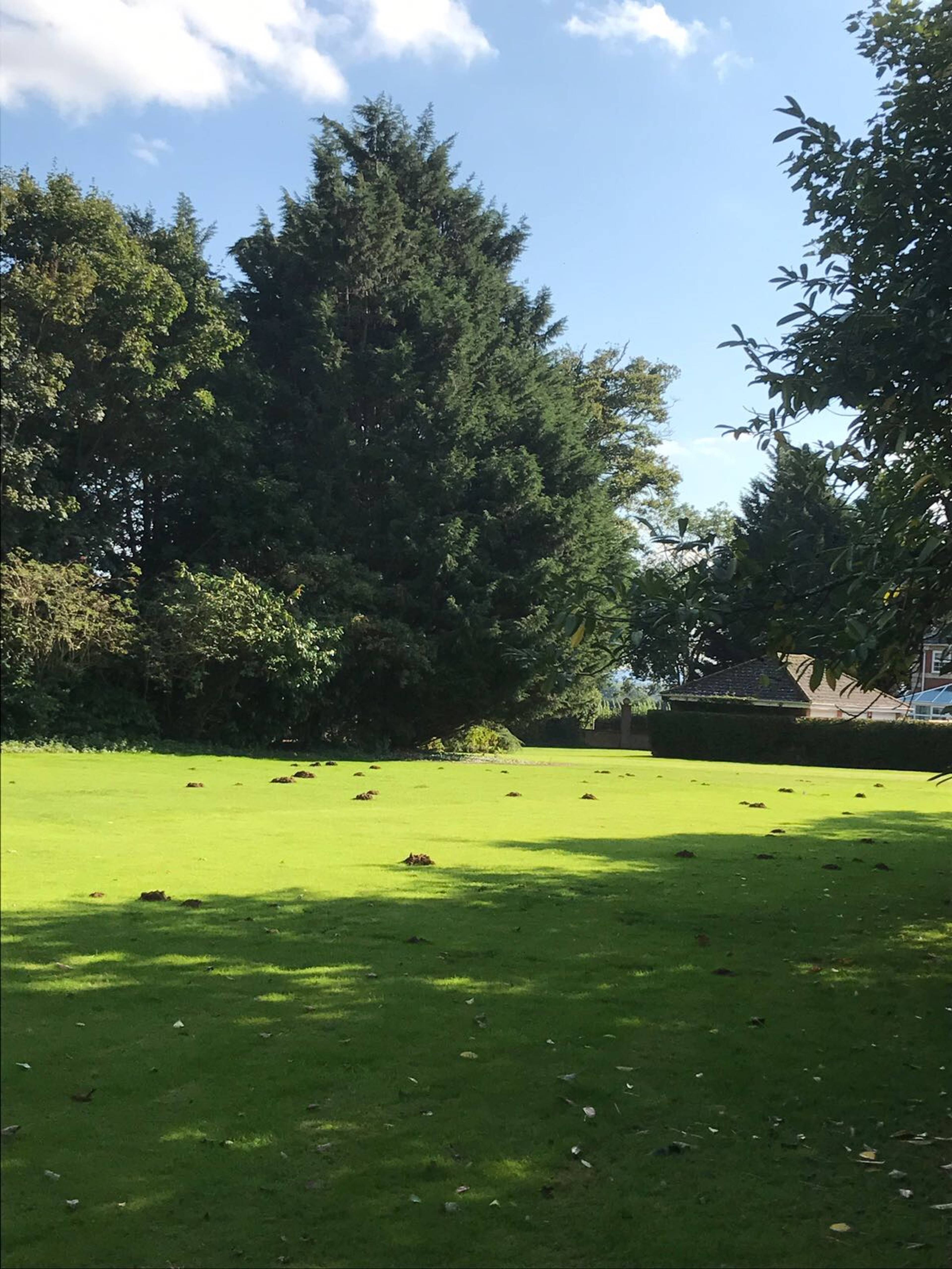 Communal Gardens
