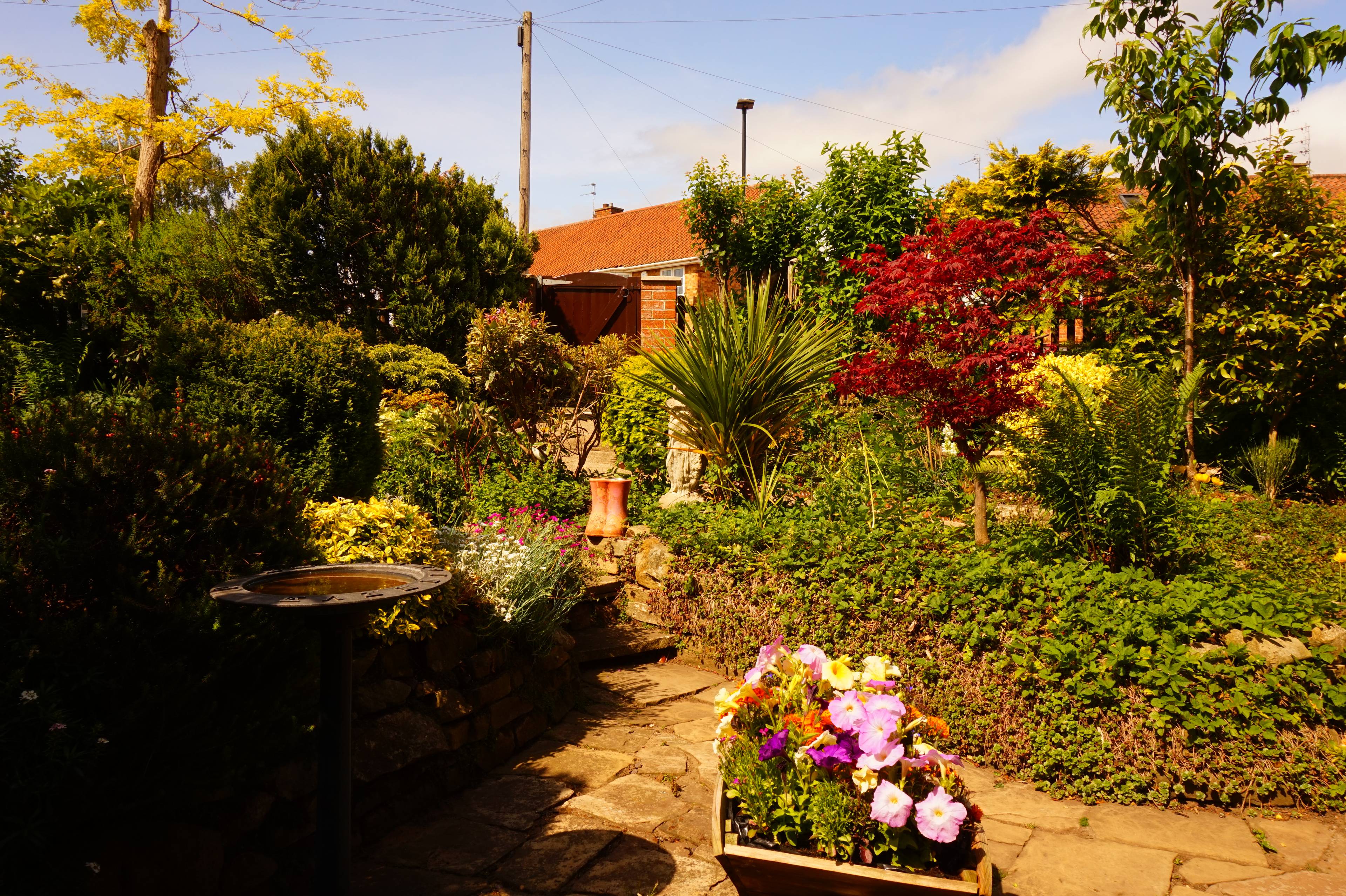 Front Garden