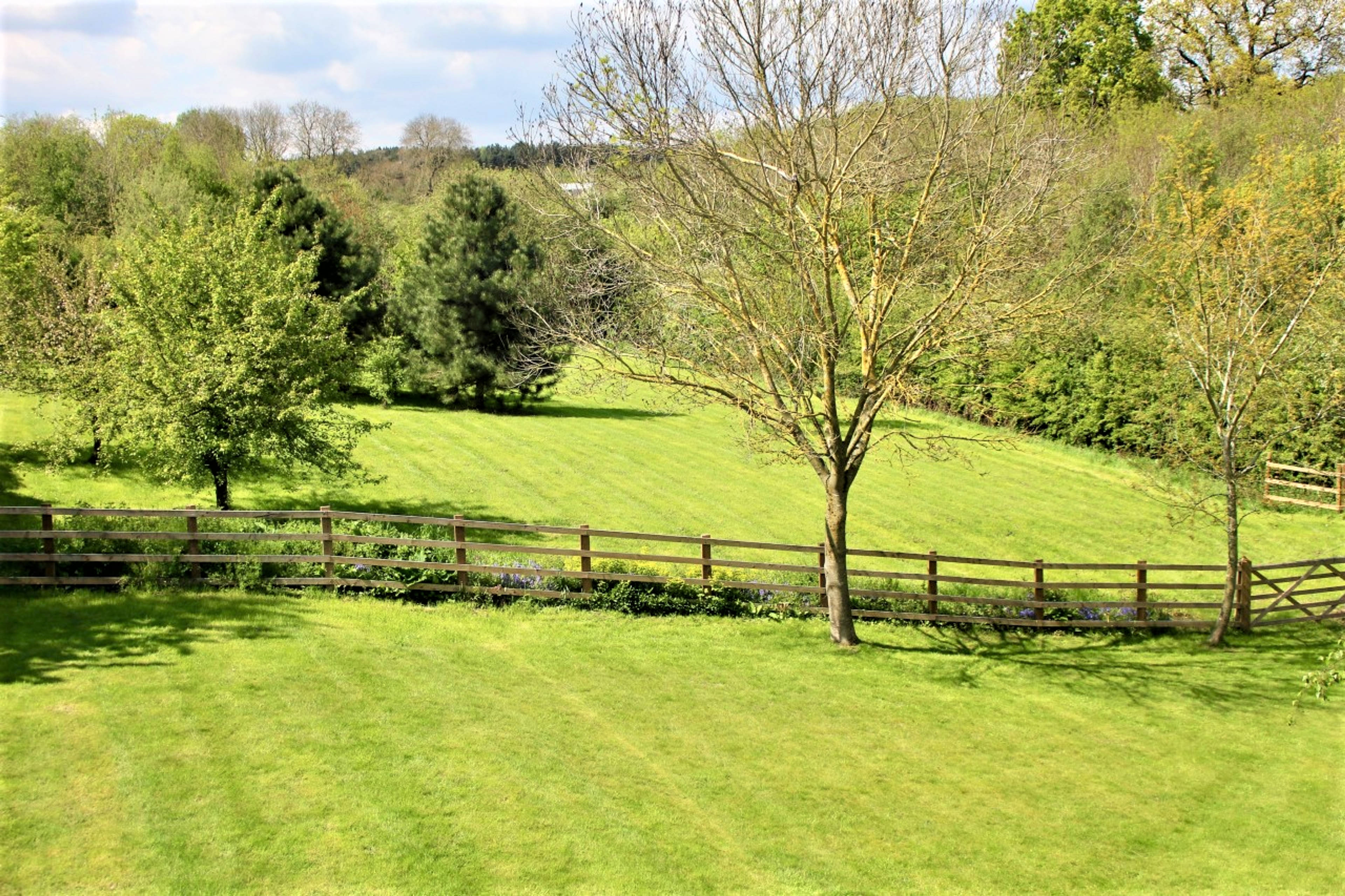 Field