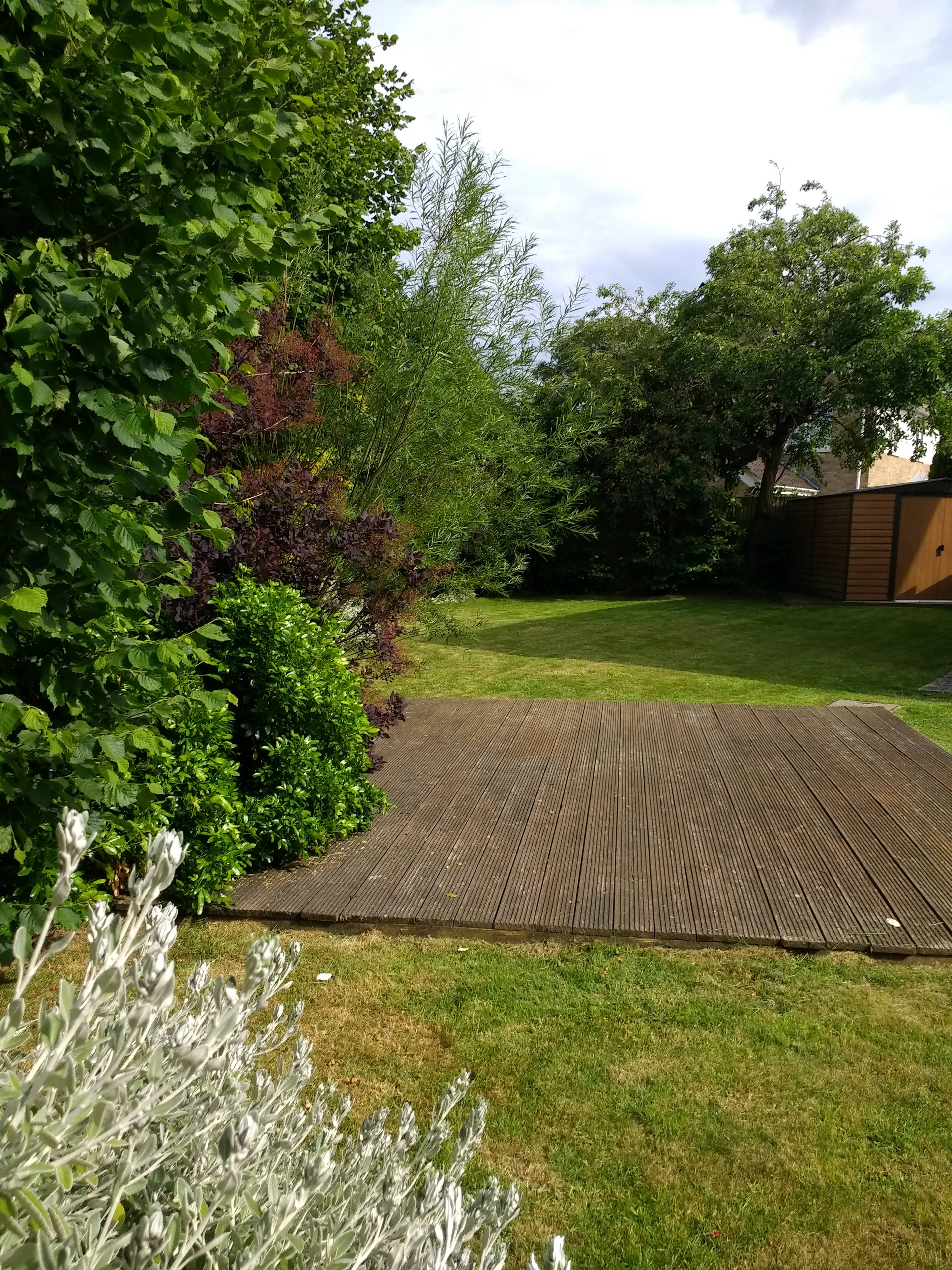 Mature Garden