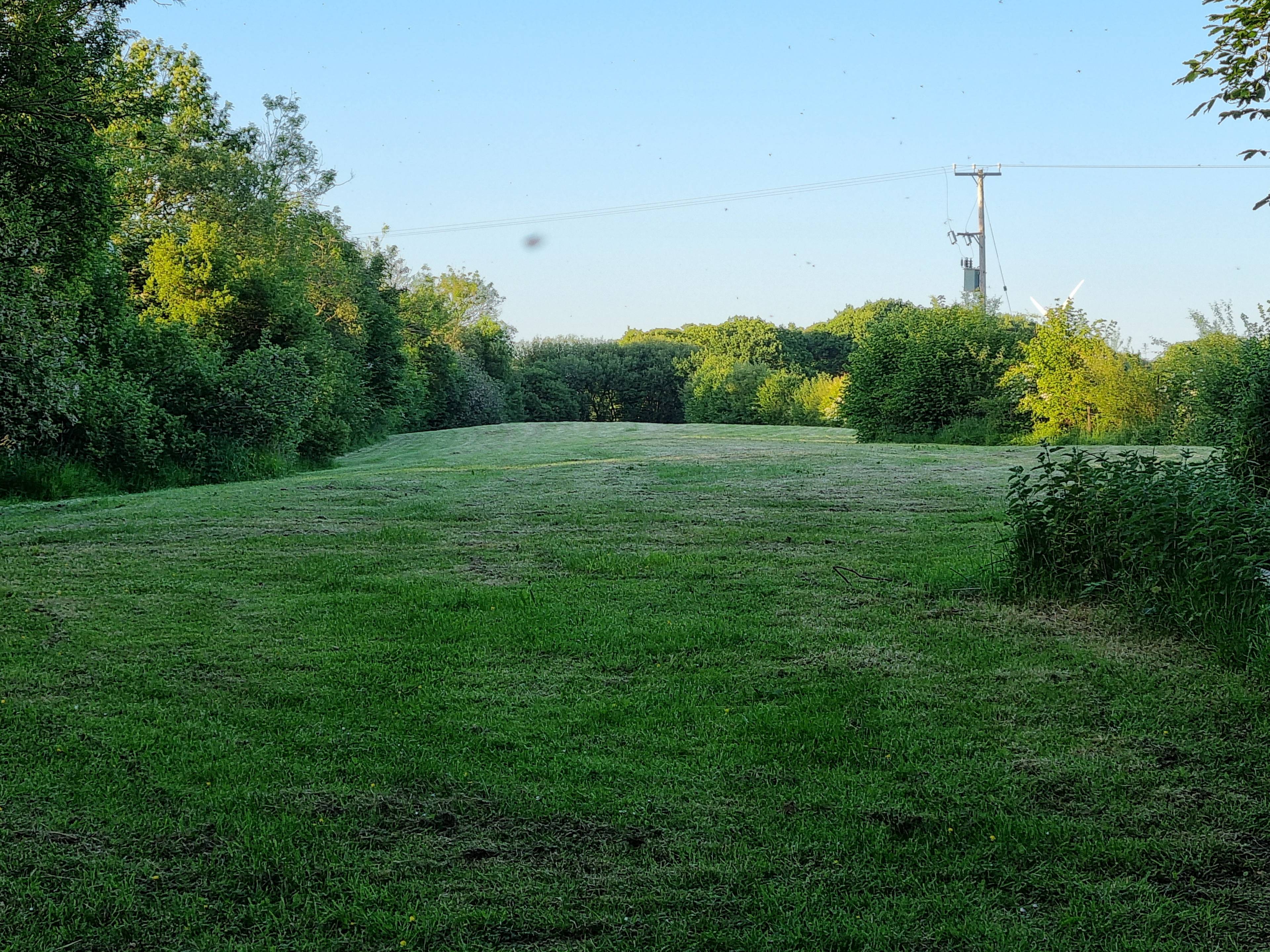 Field