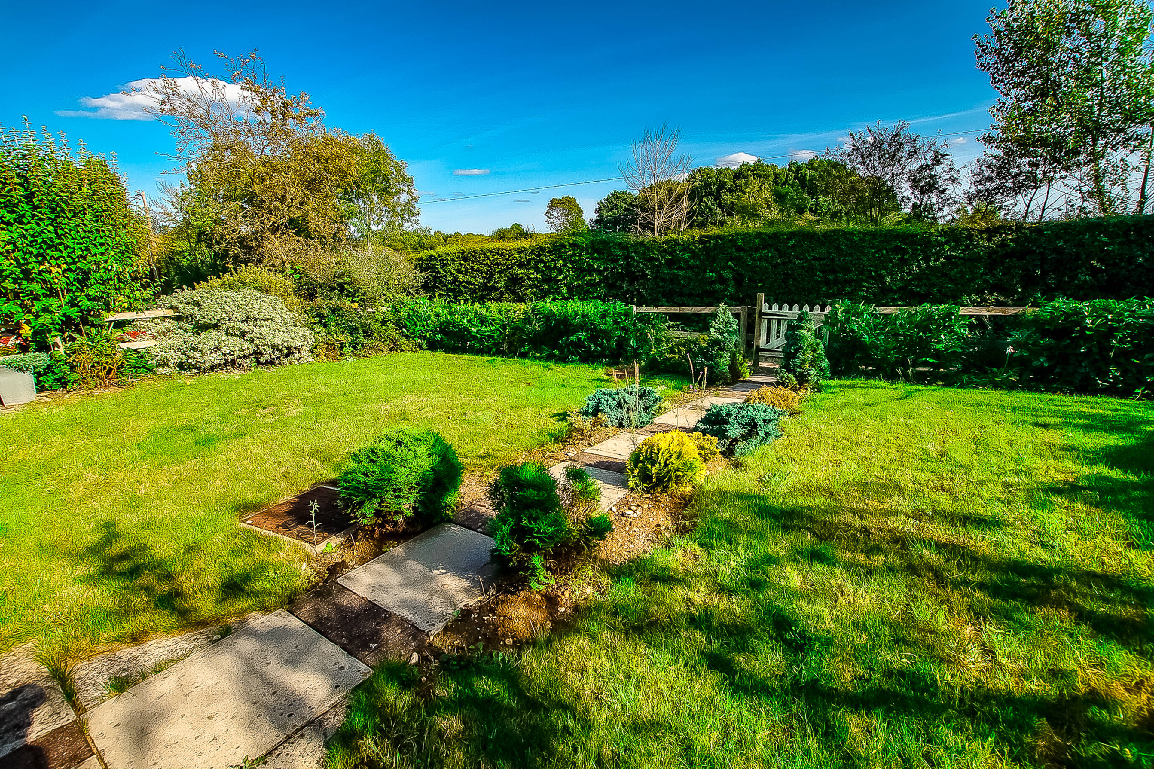 Front Garden