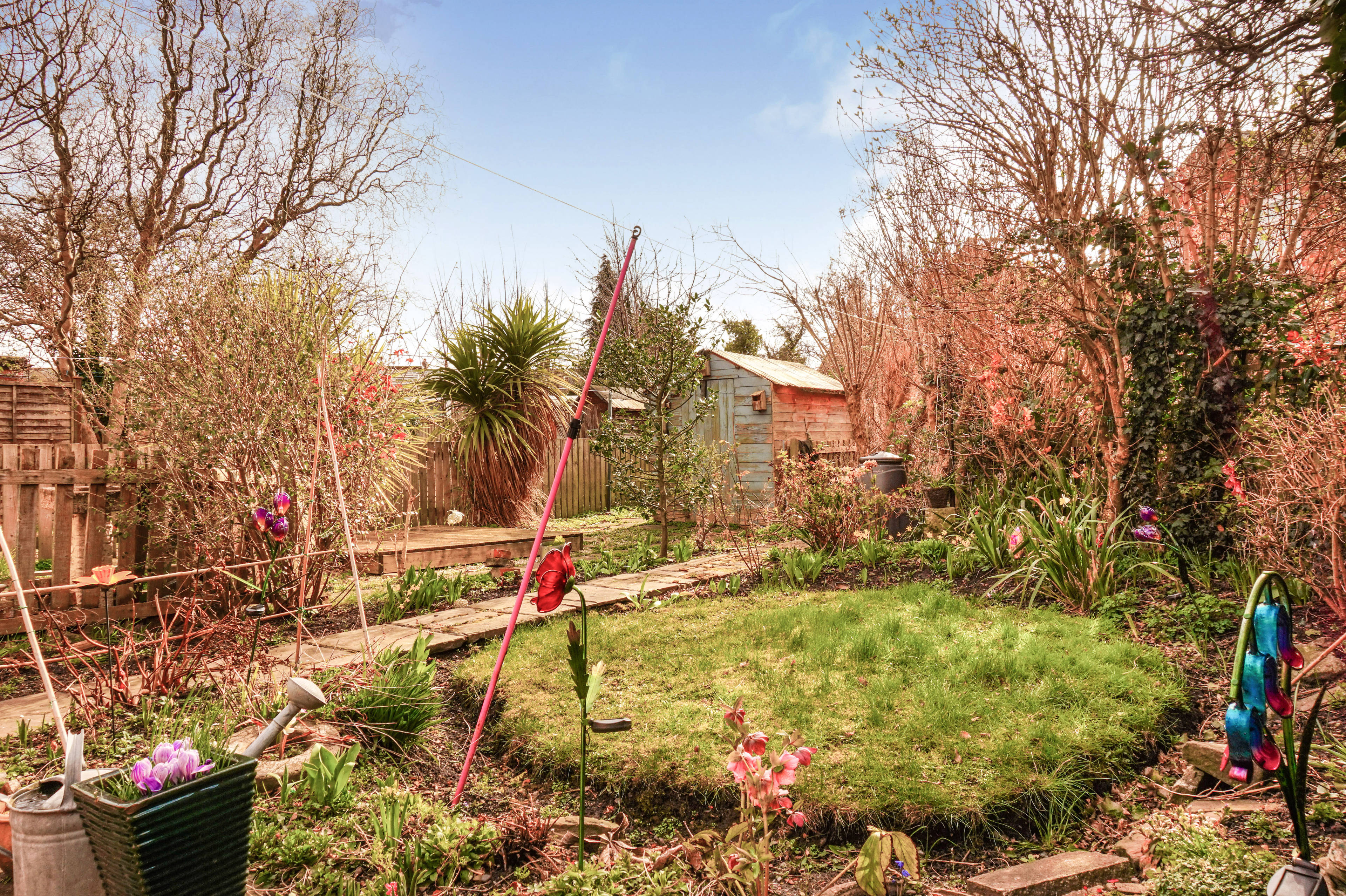 Garden
