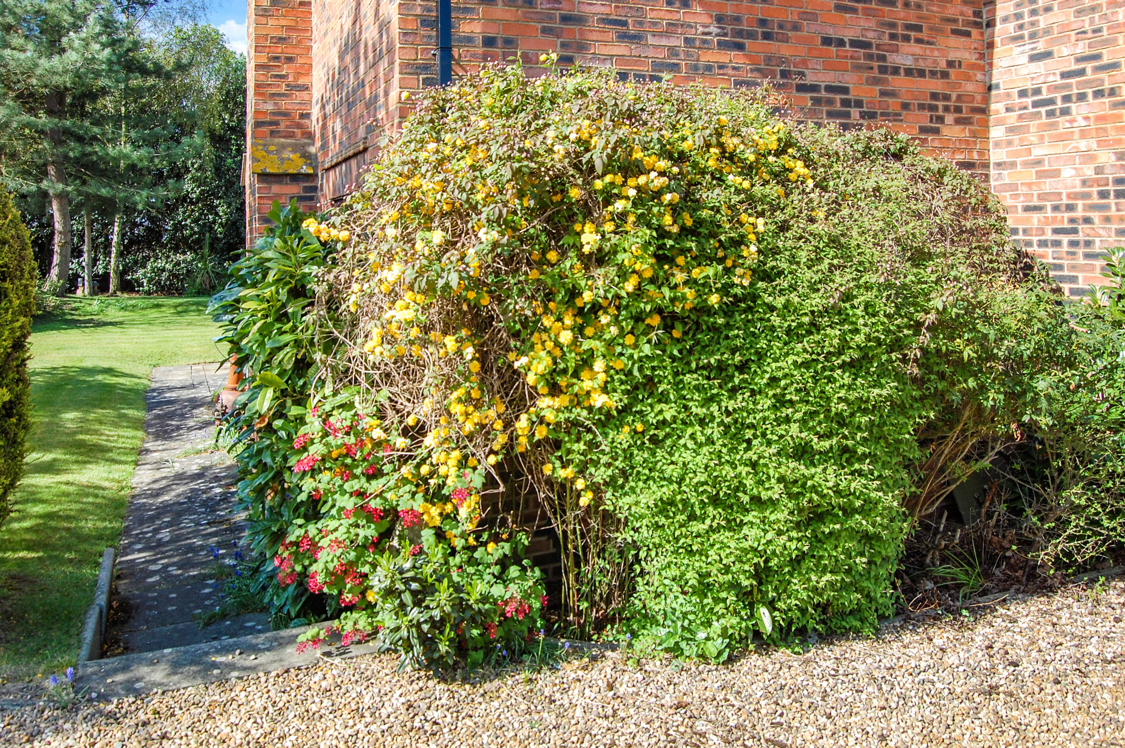 Front Garden