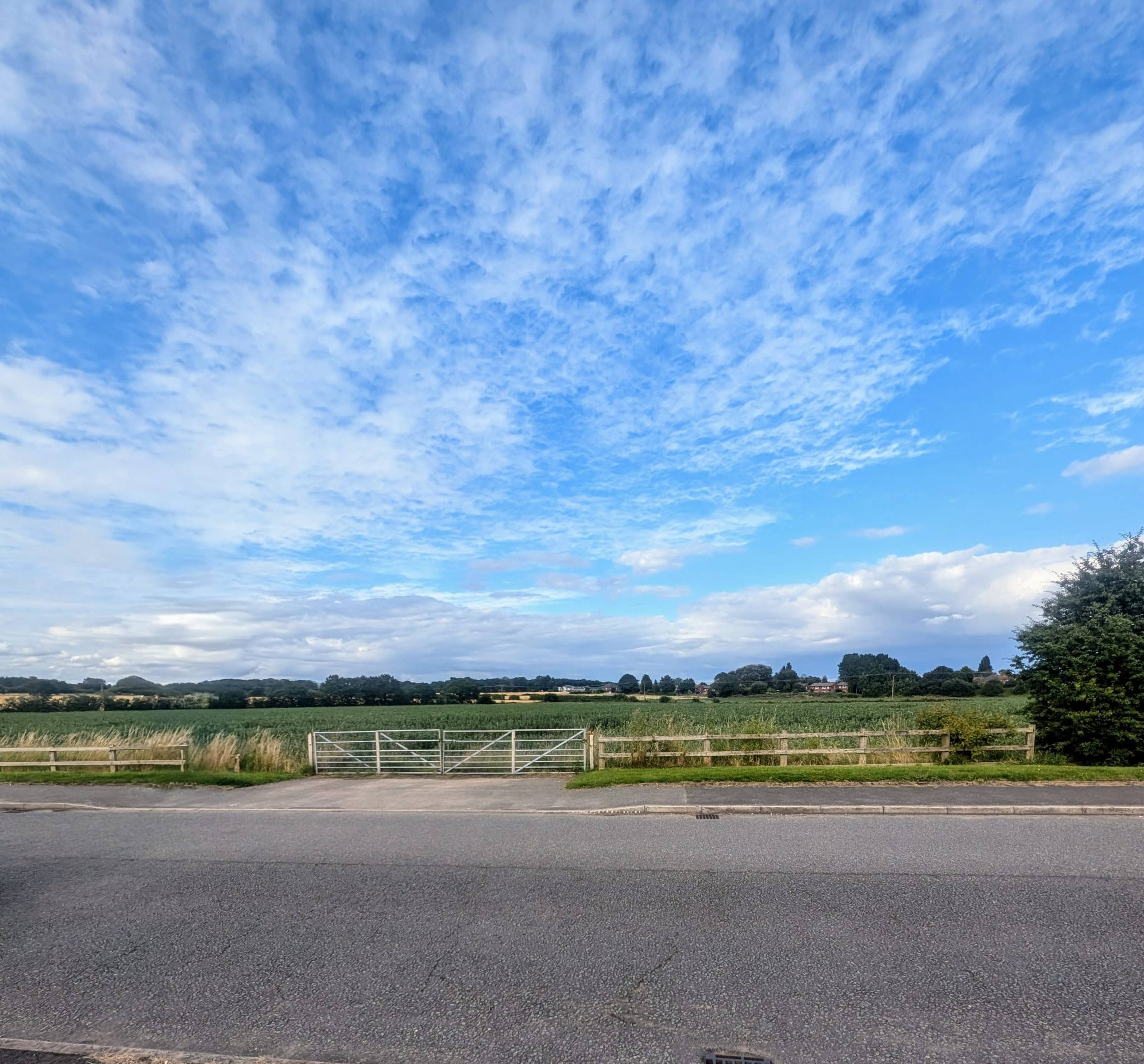 Field