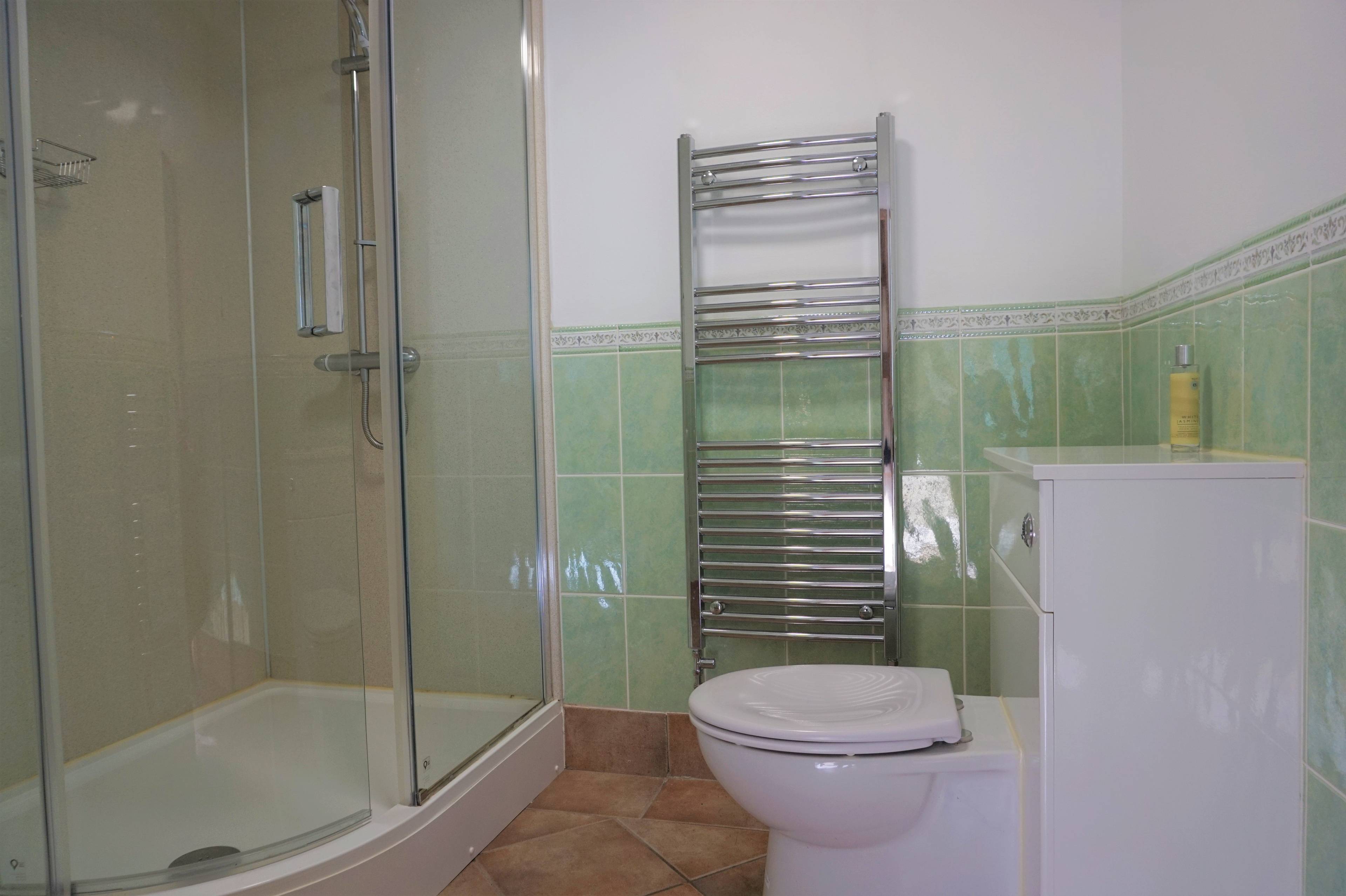 Downstairs Shower