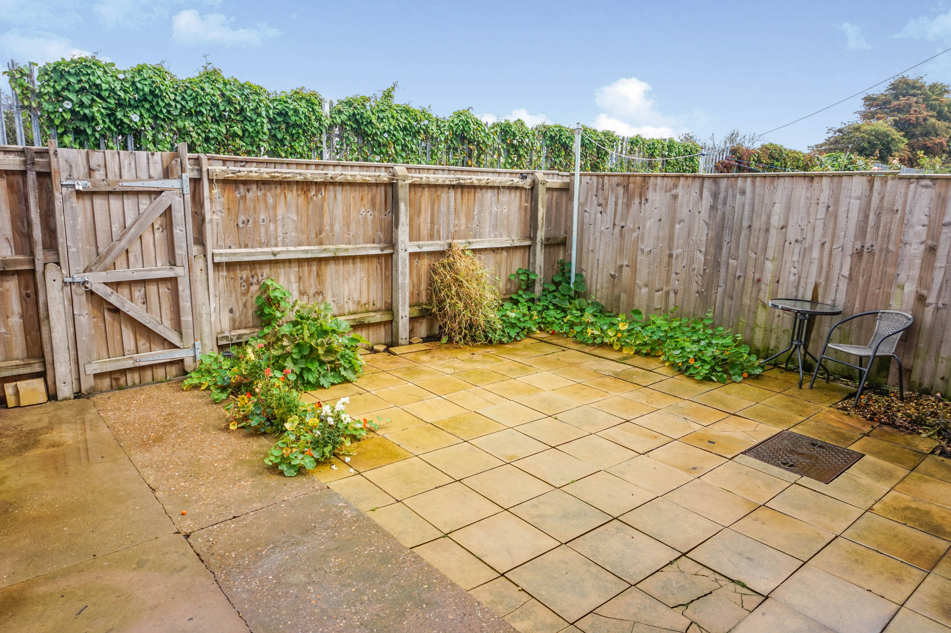 Garden