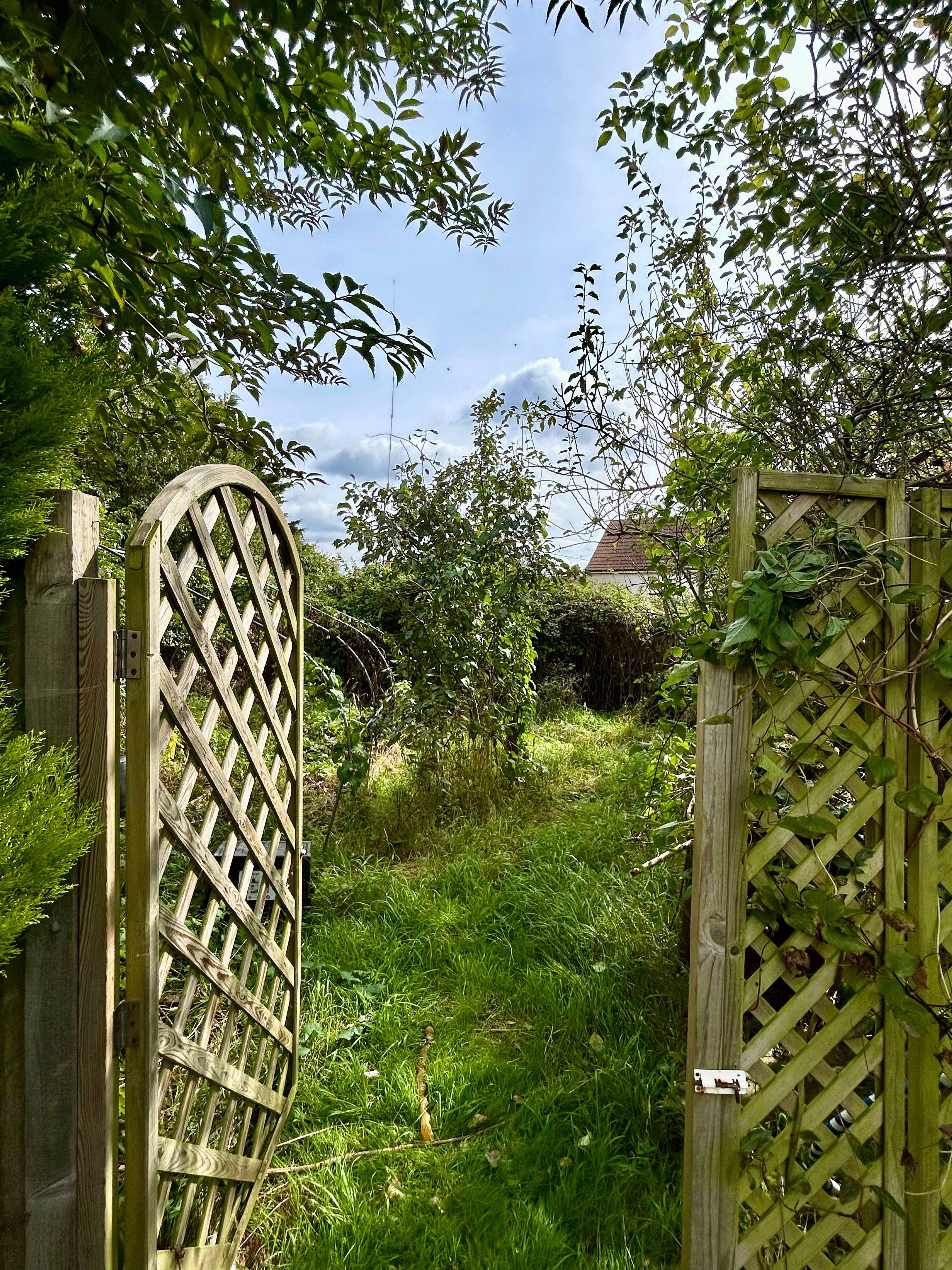 Large Garden