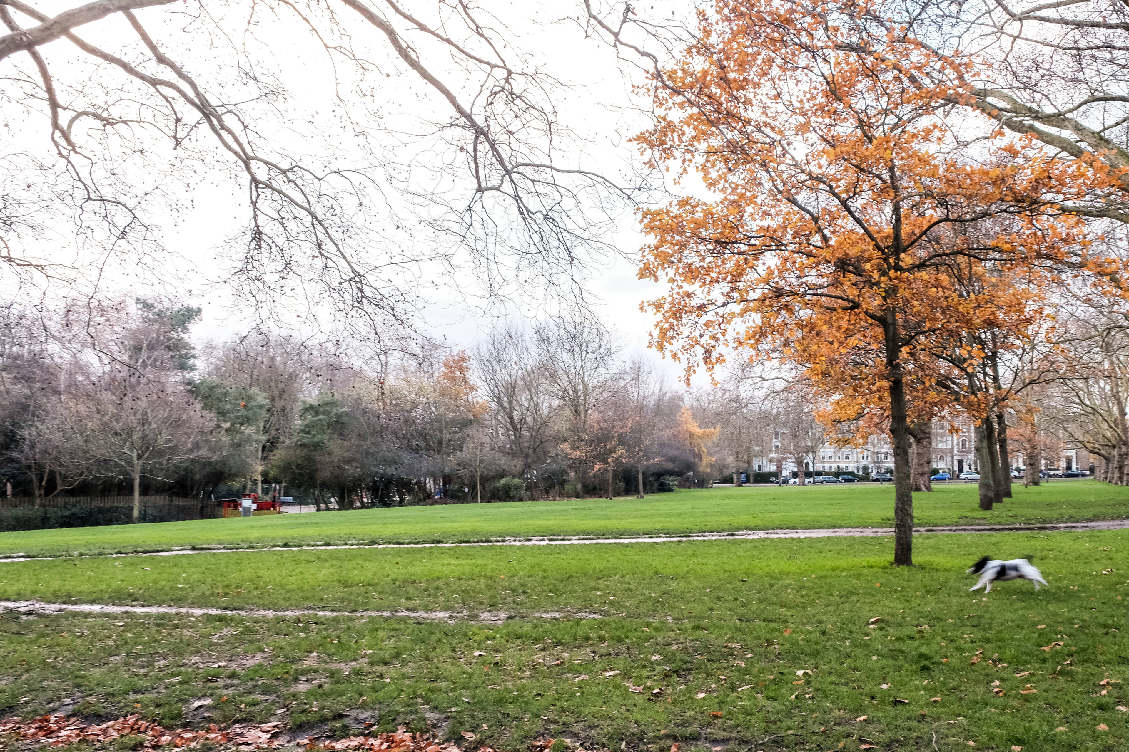 Nearby Park