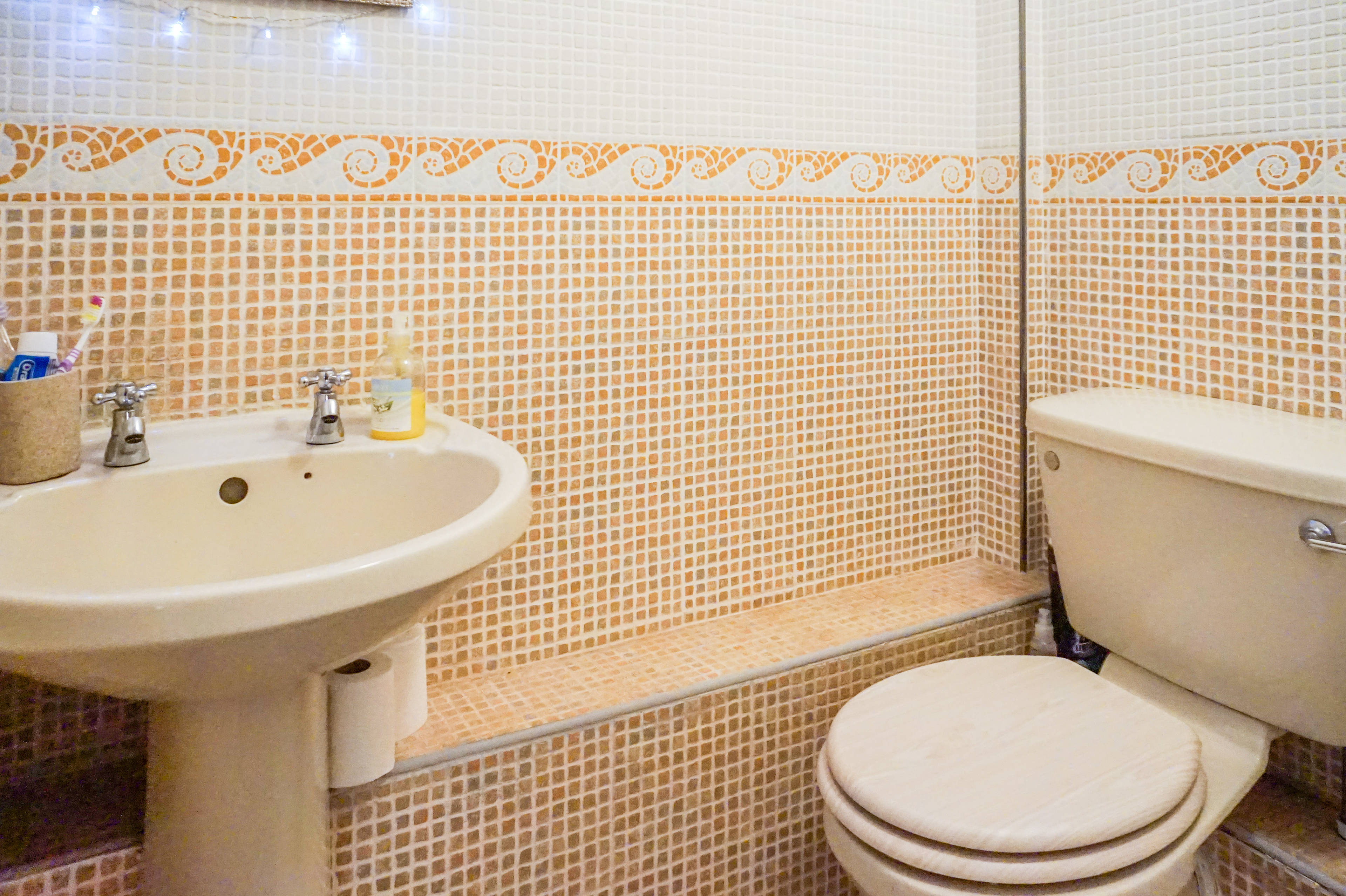 Downstairs Shower