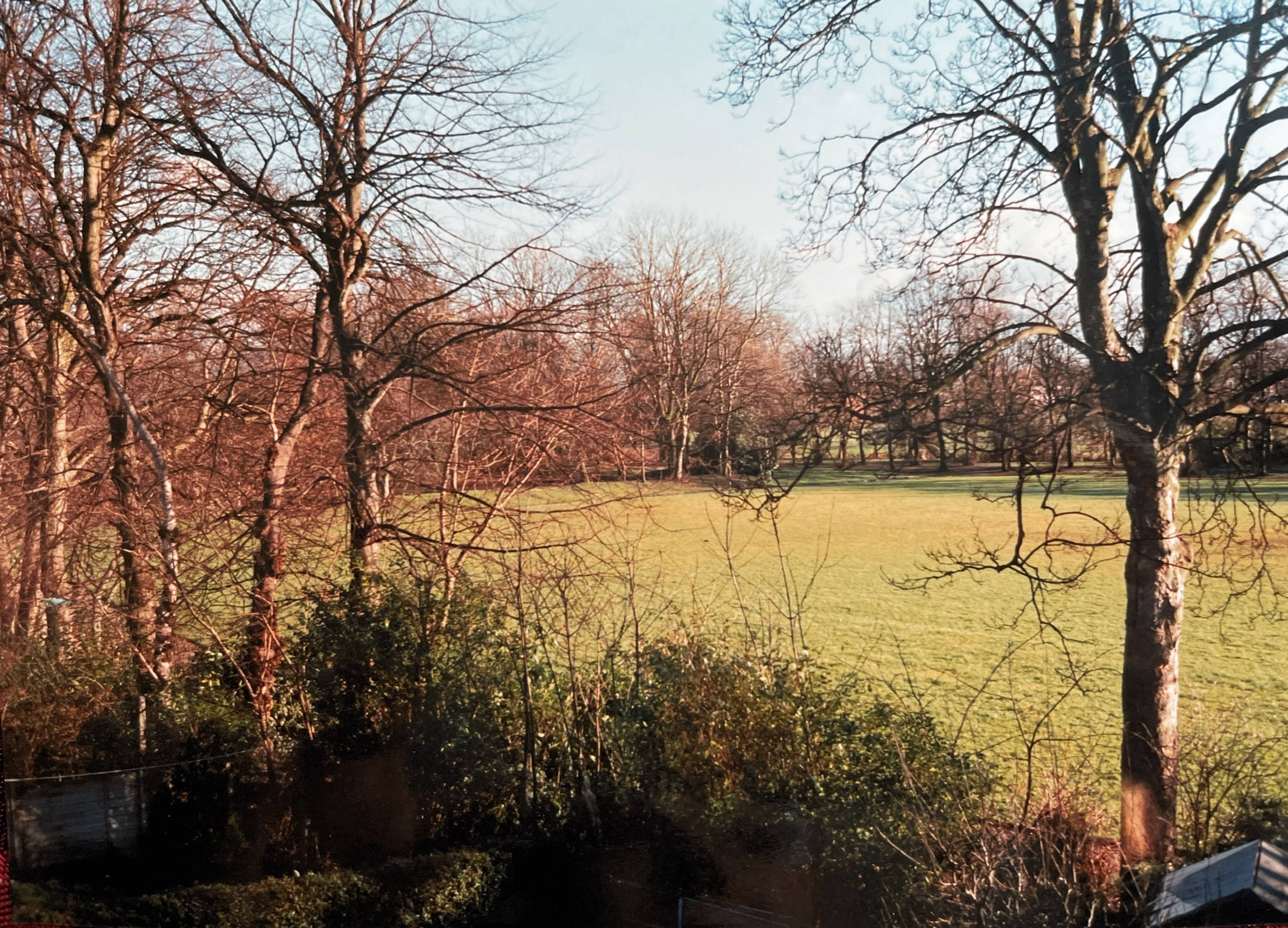 Nearby Park