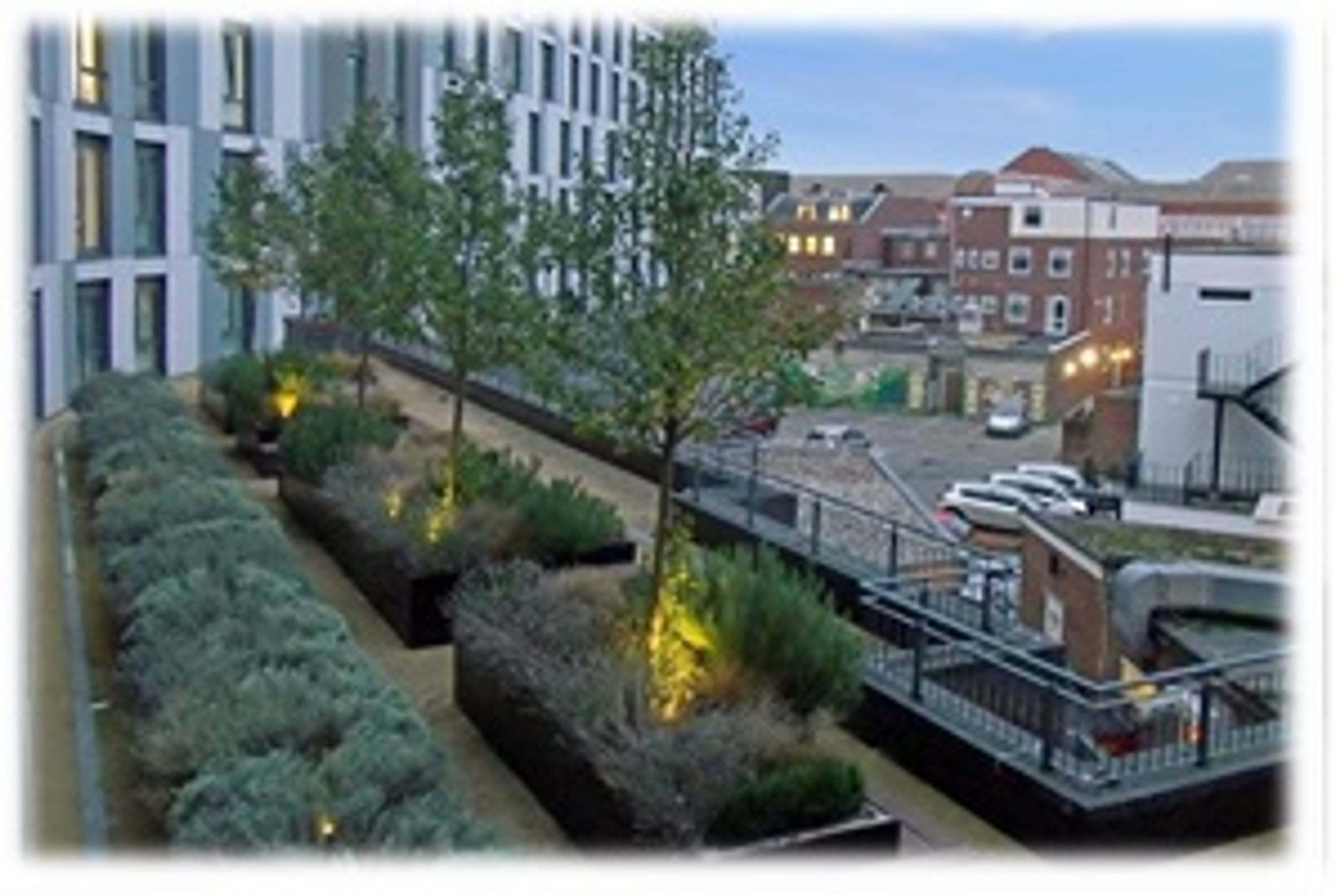 Communal Gardens