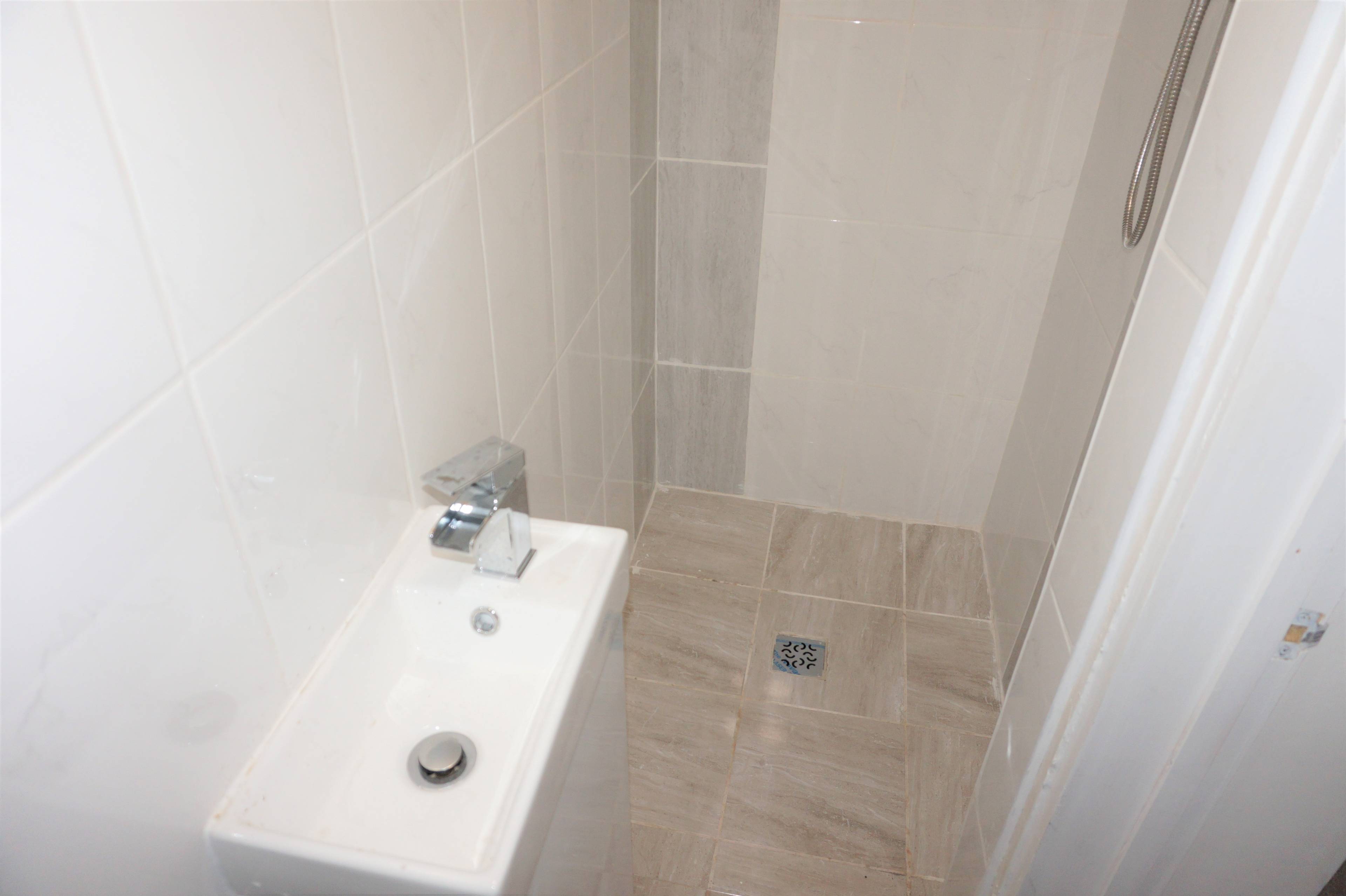 Downstairs Shower