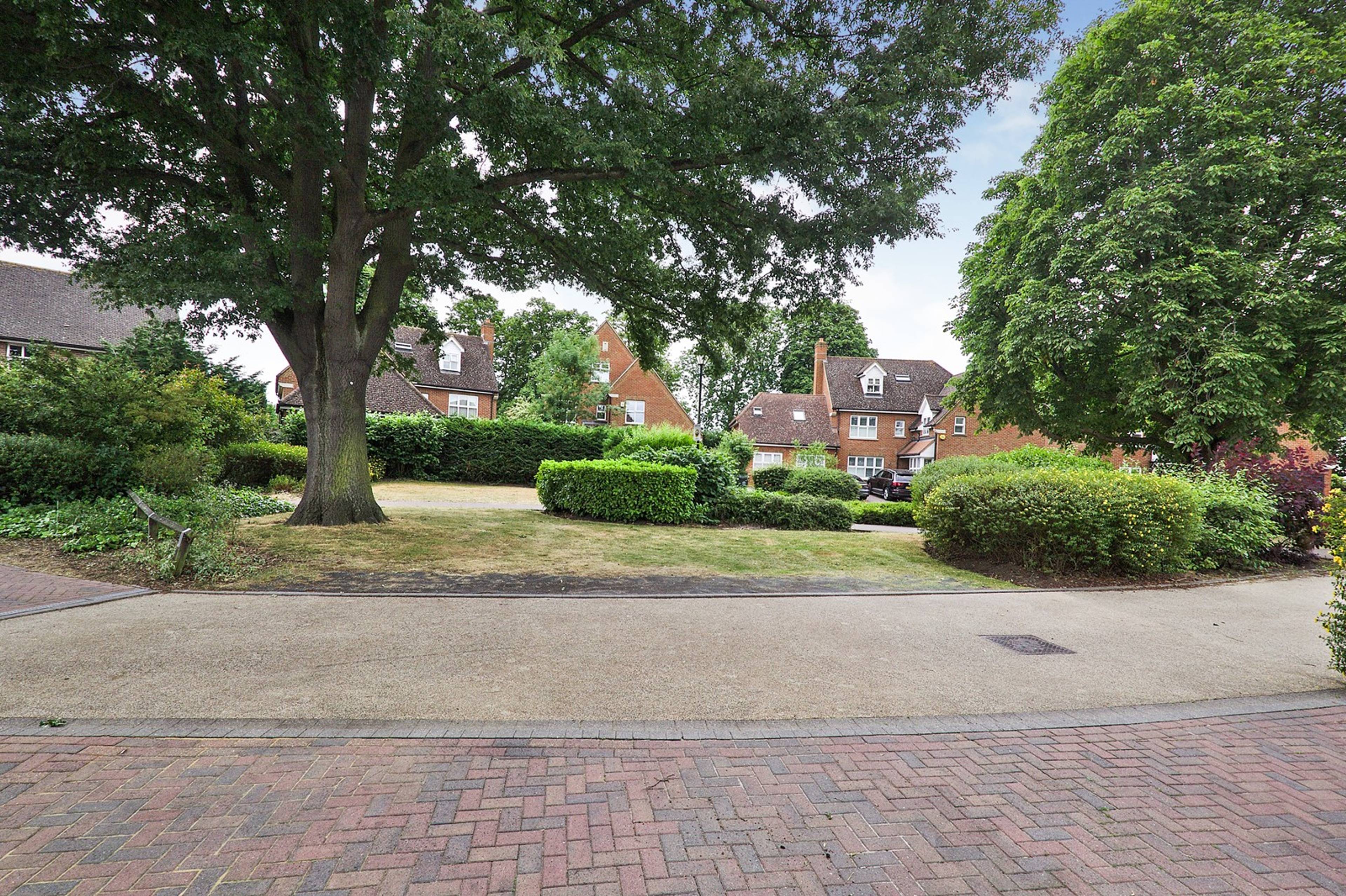 Surrounding Area