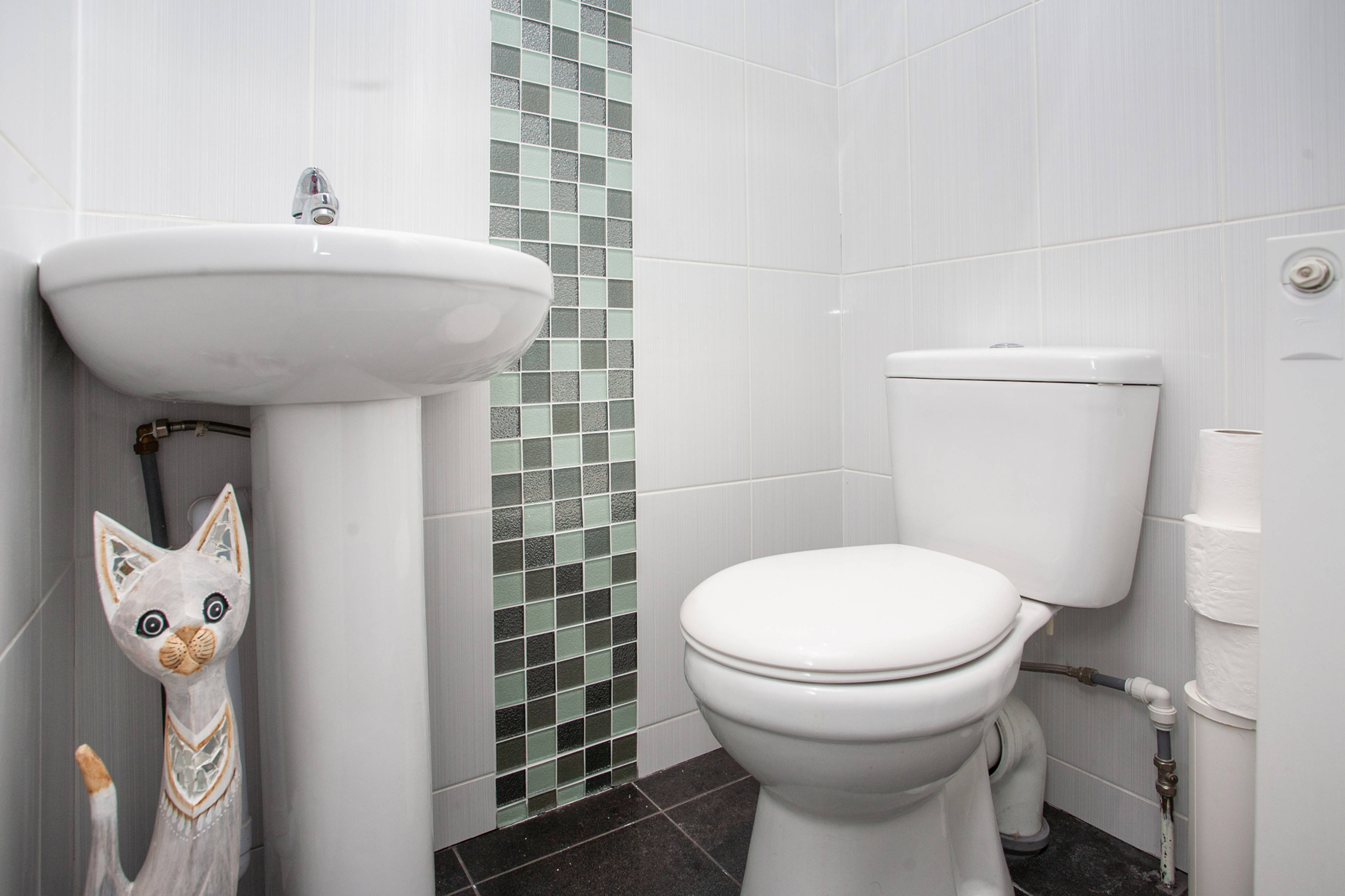 Downstairs Cloakroom