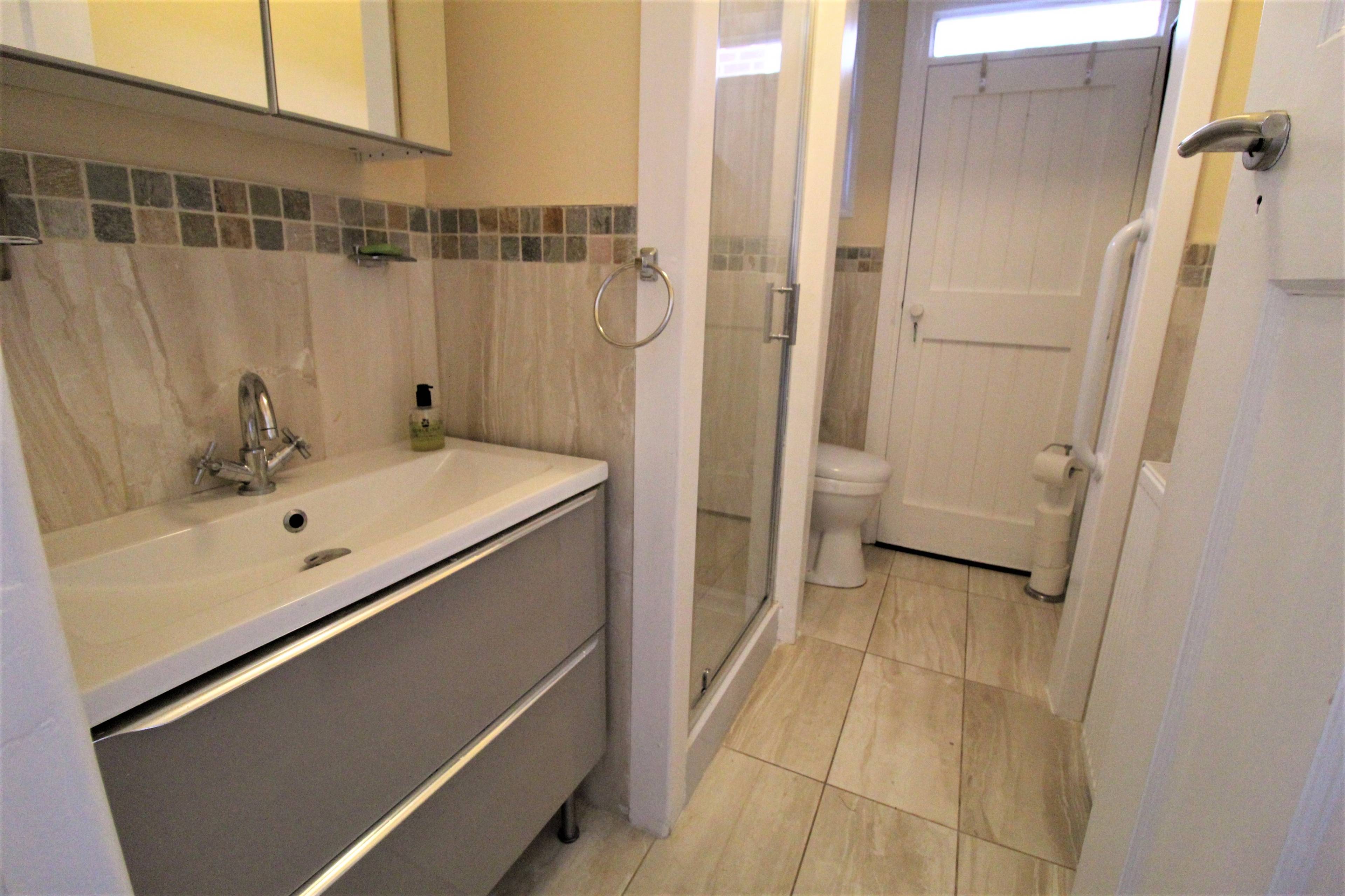 Downstairs Shower