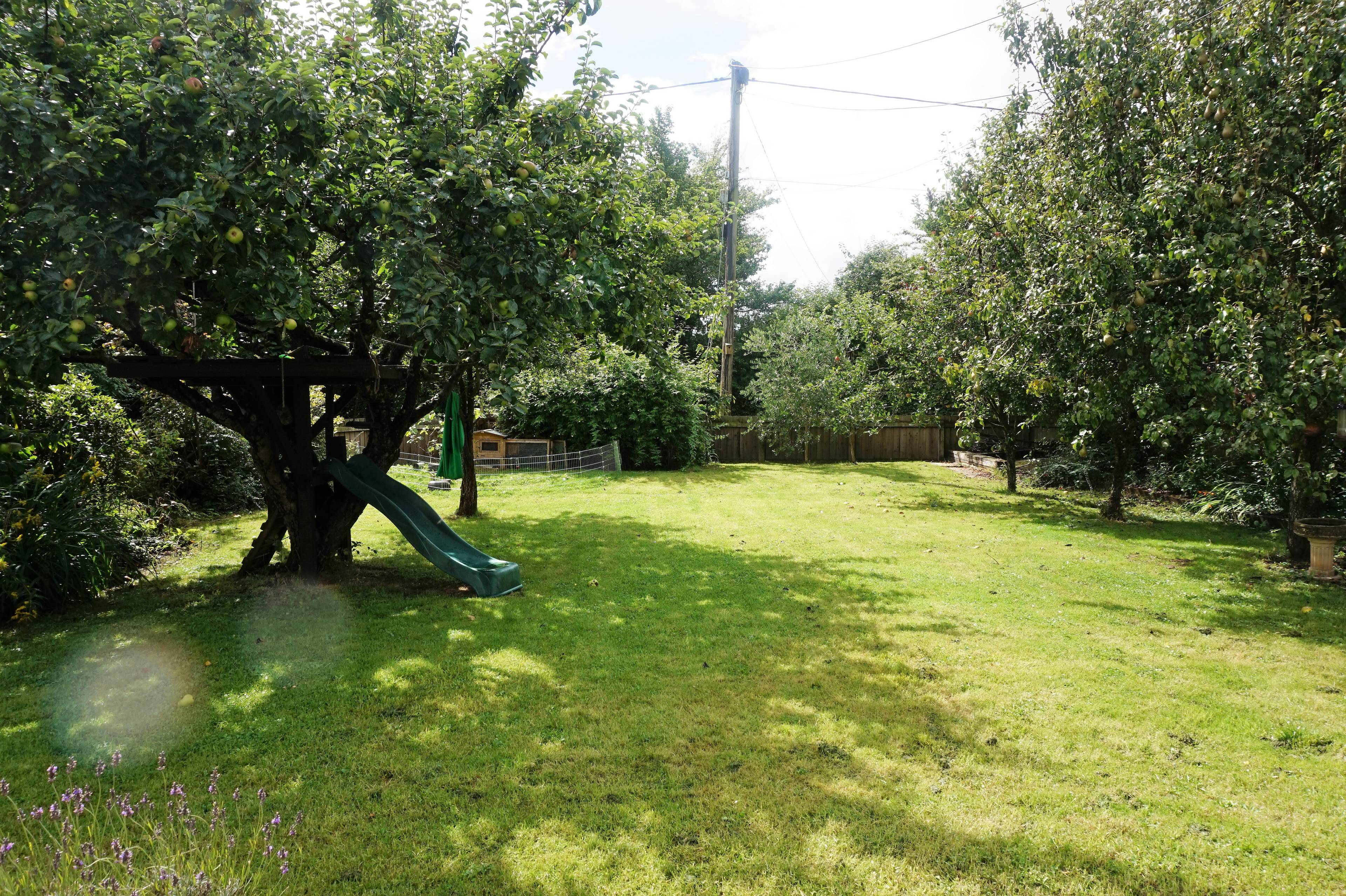 front garden