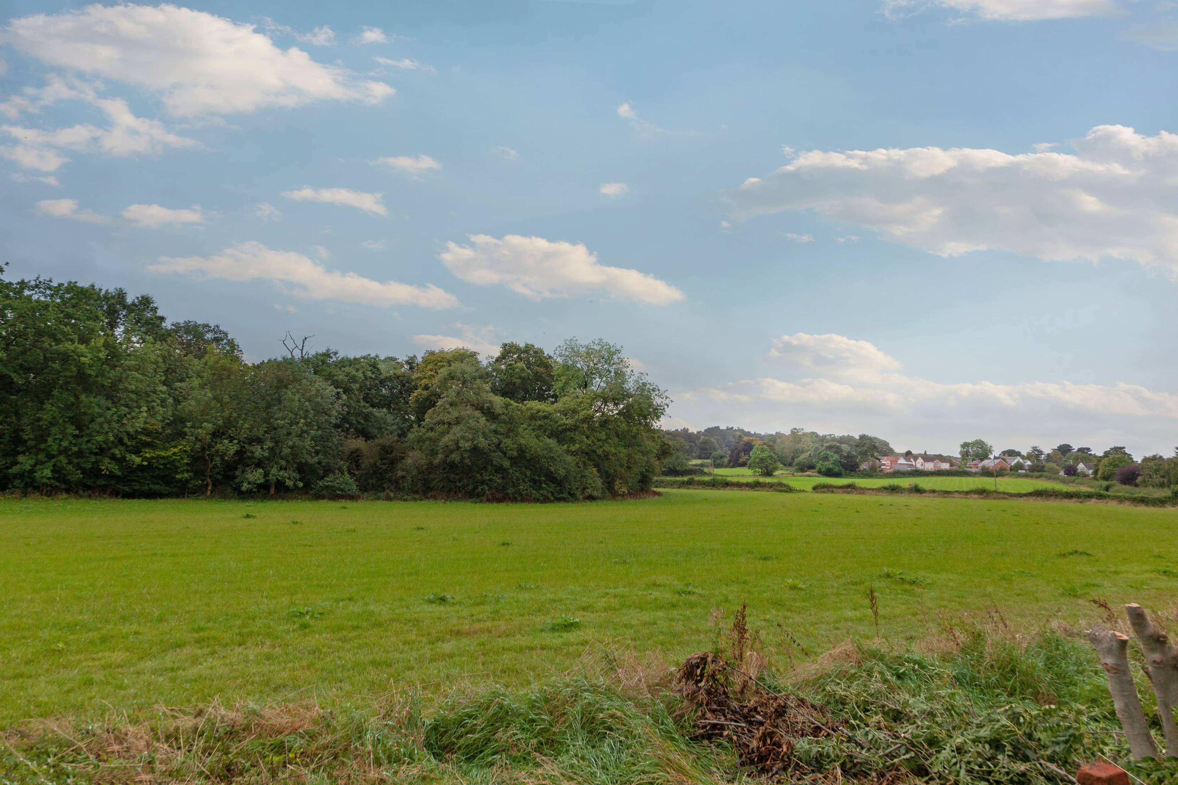 Field