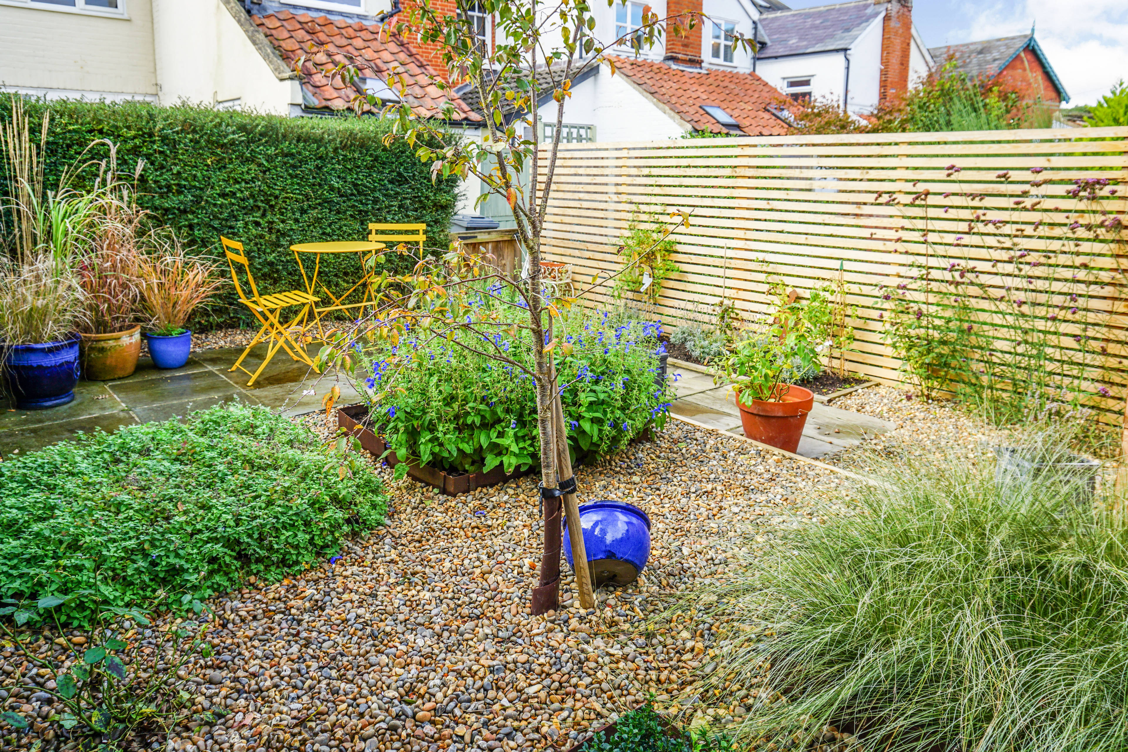 Cottage Garden