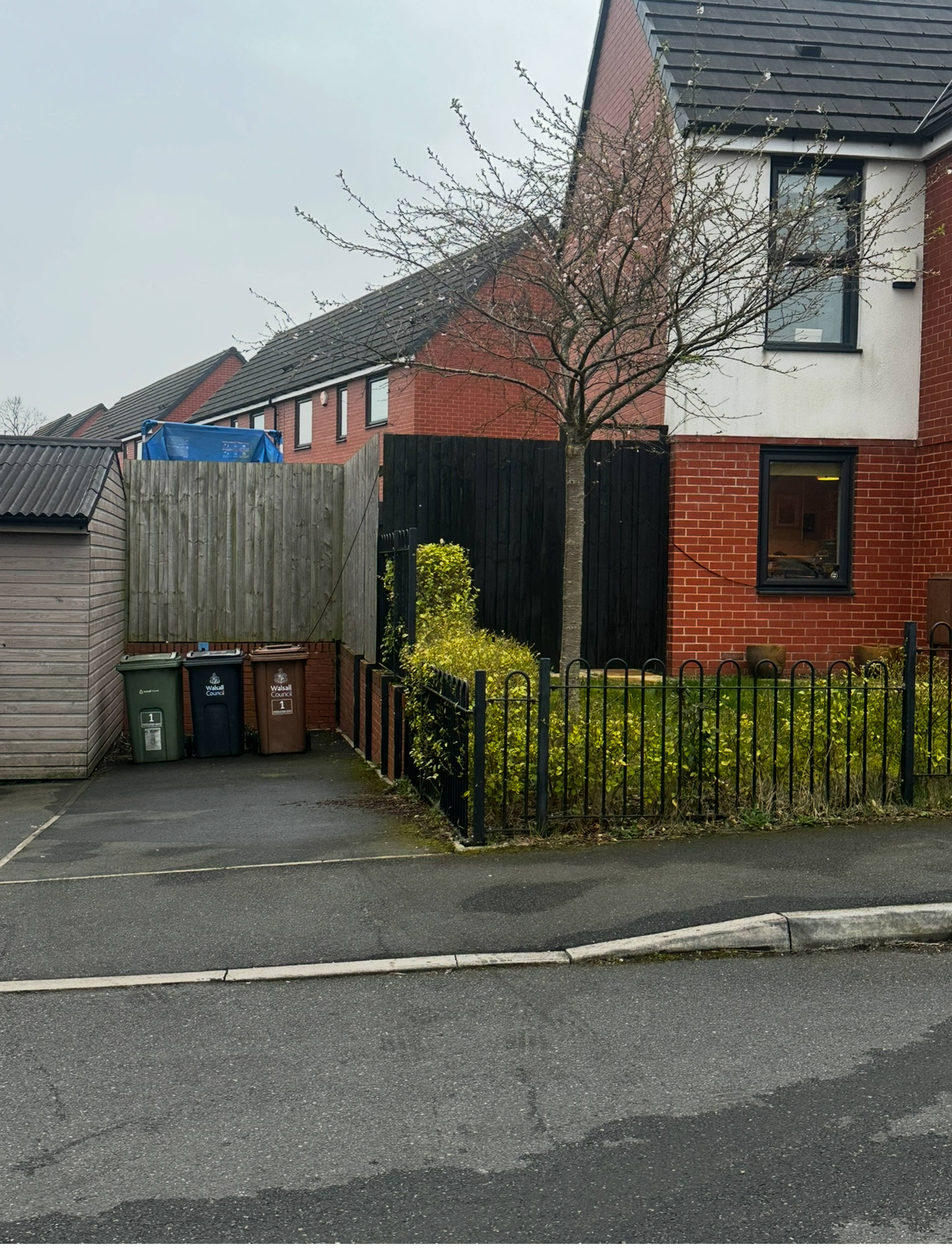 Driveway