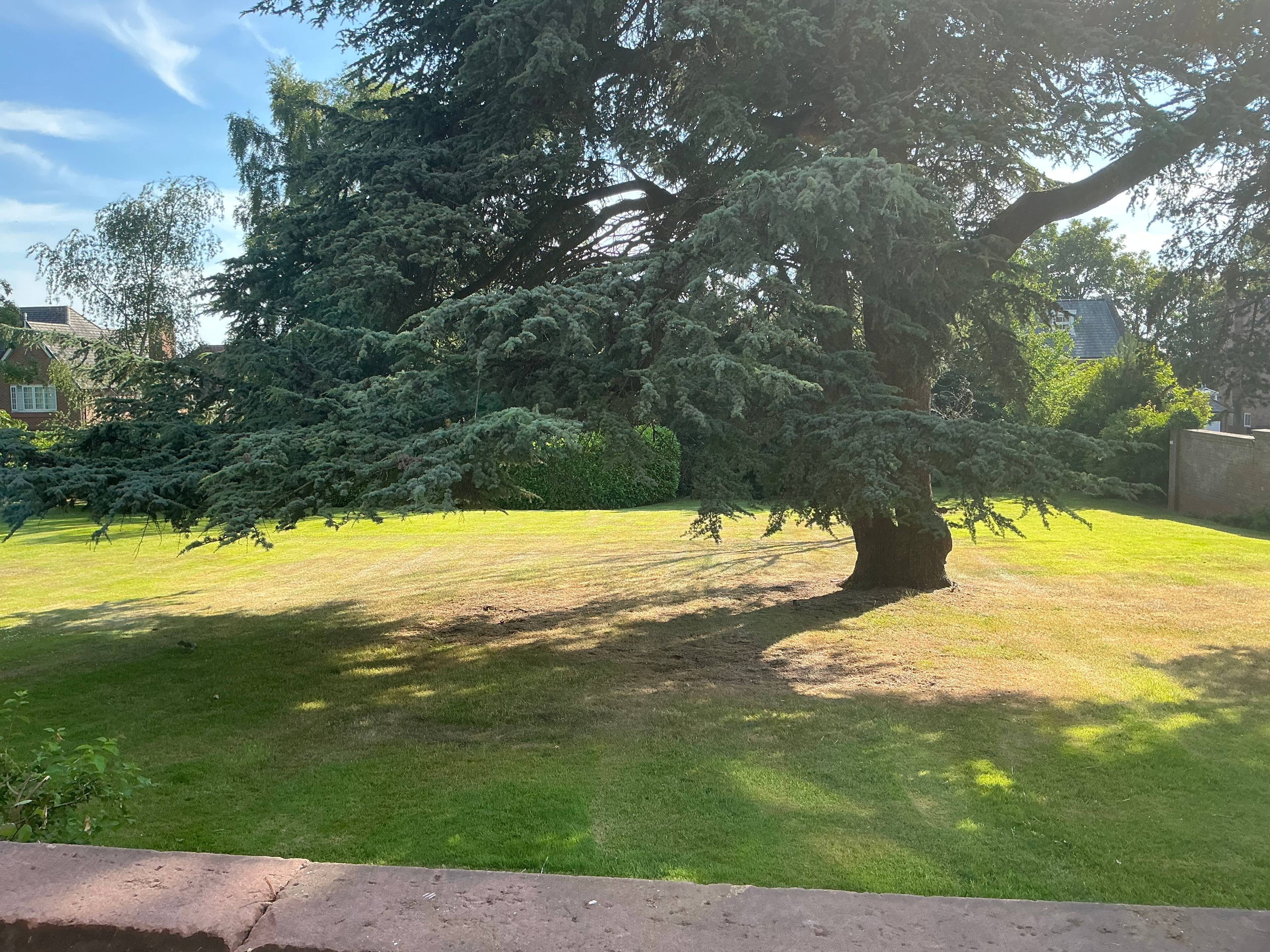Communal Gardens