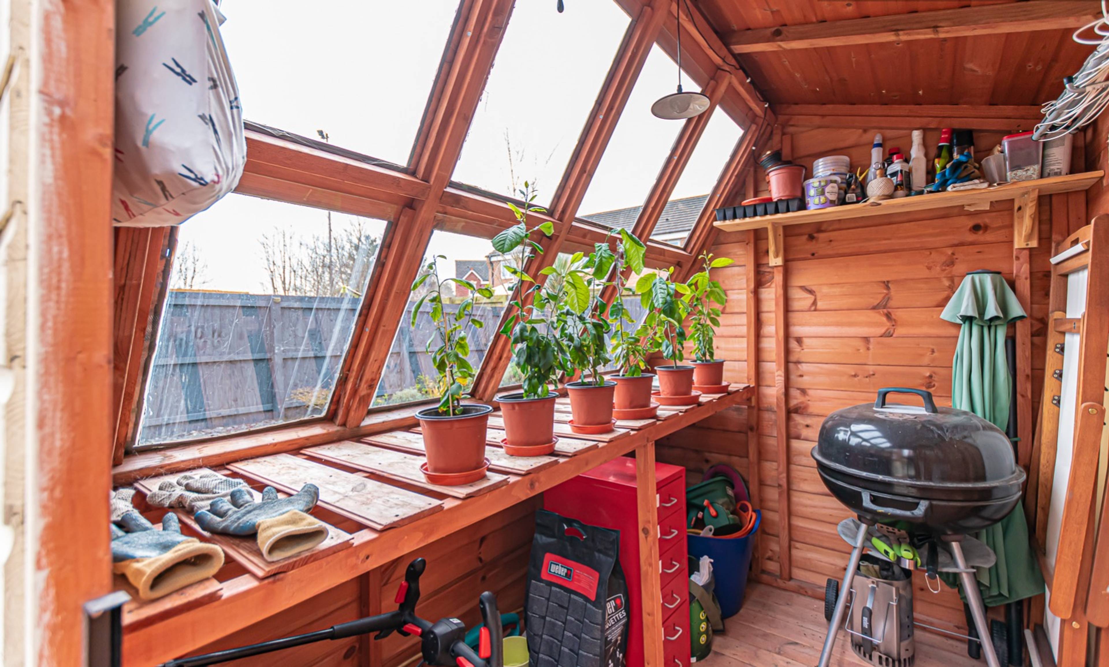 Shed