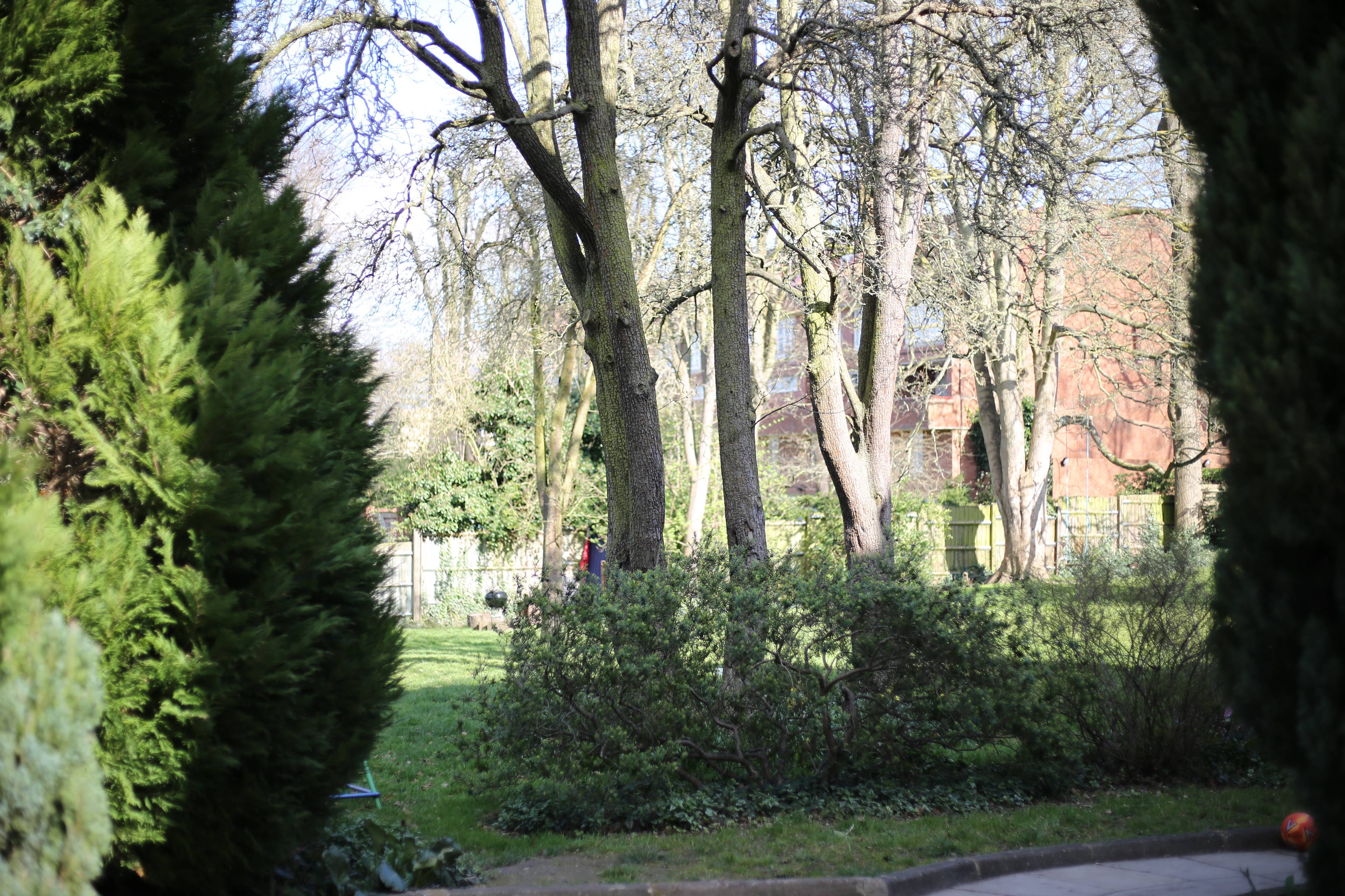 Communal Gardens