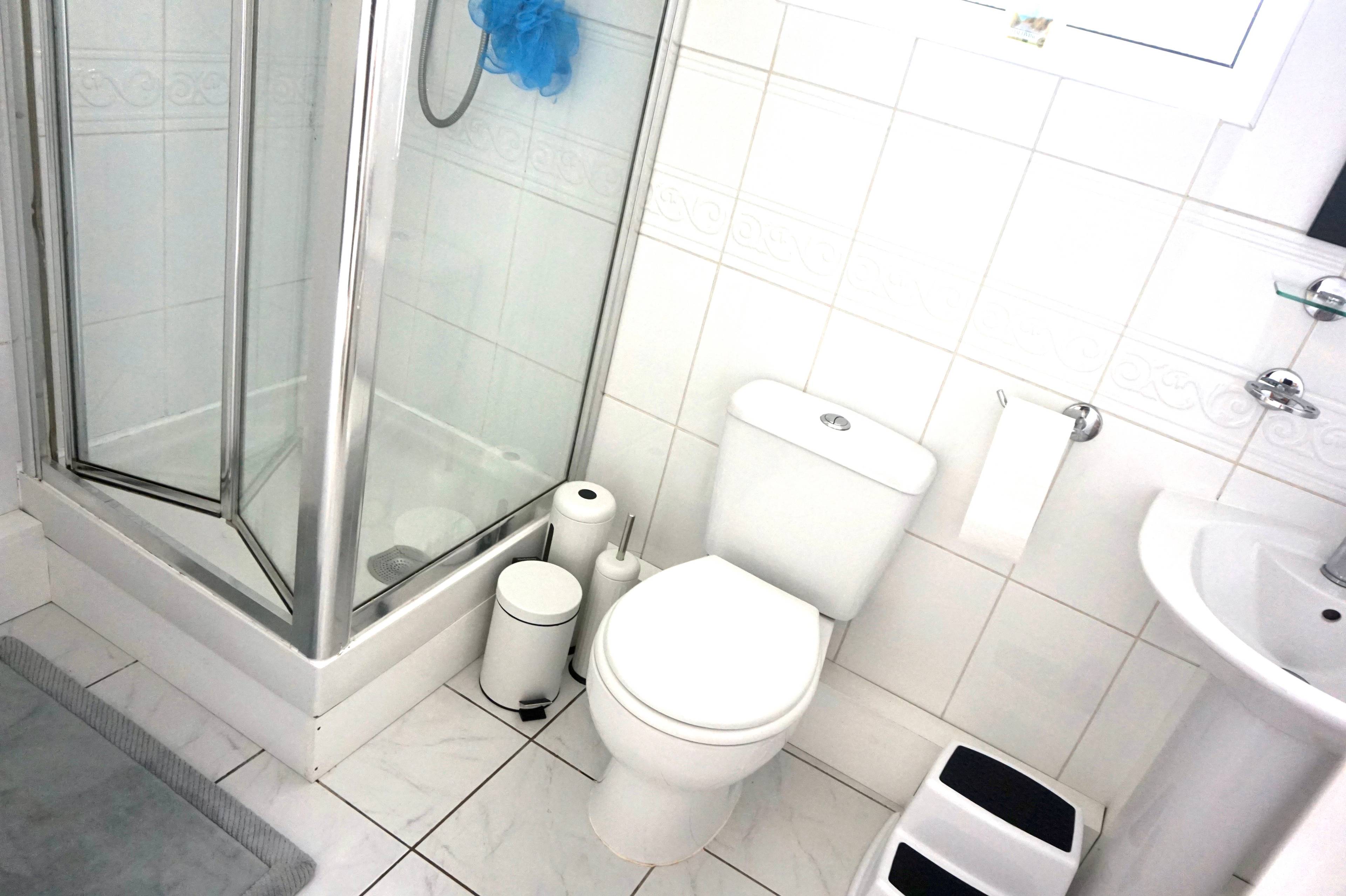 Downstairs Shower