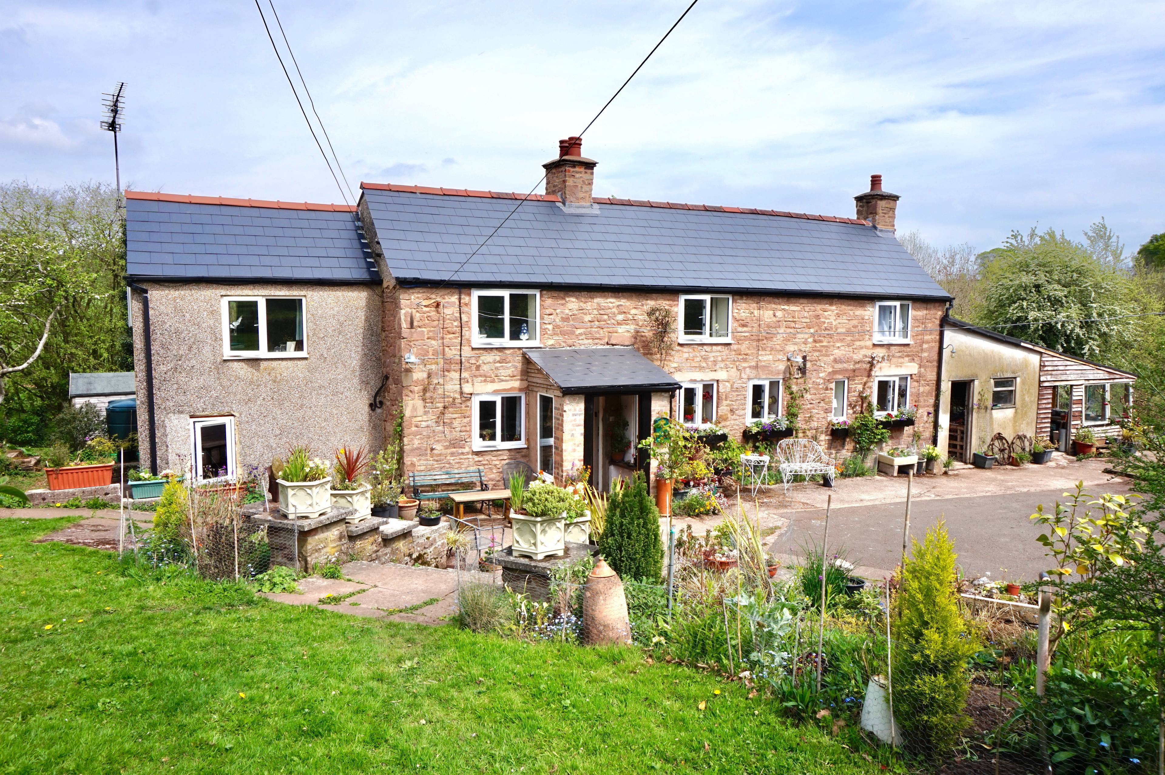 The Property