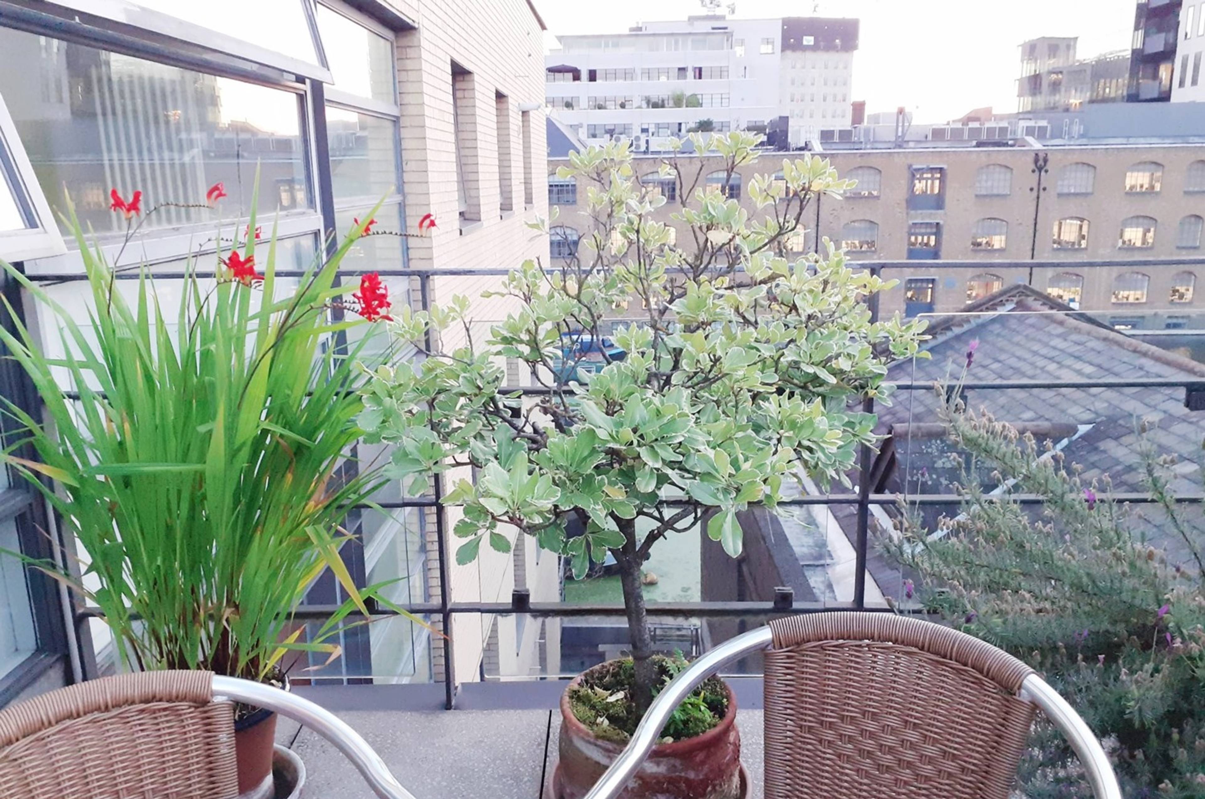 Roof Terrace