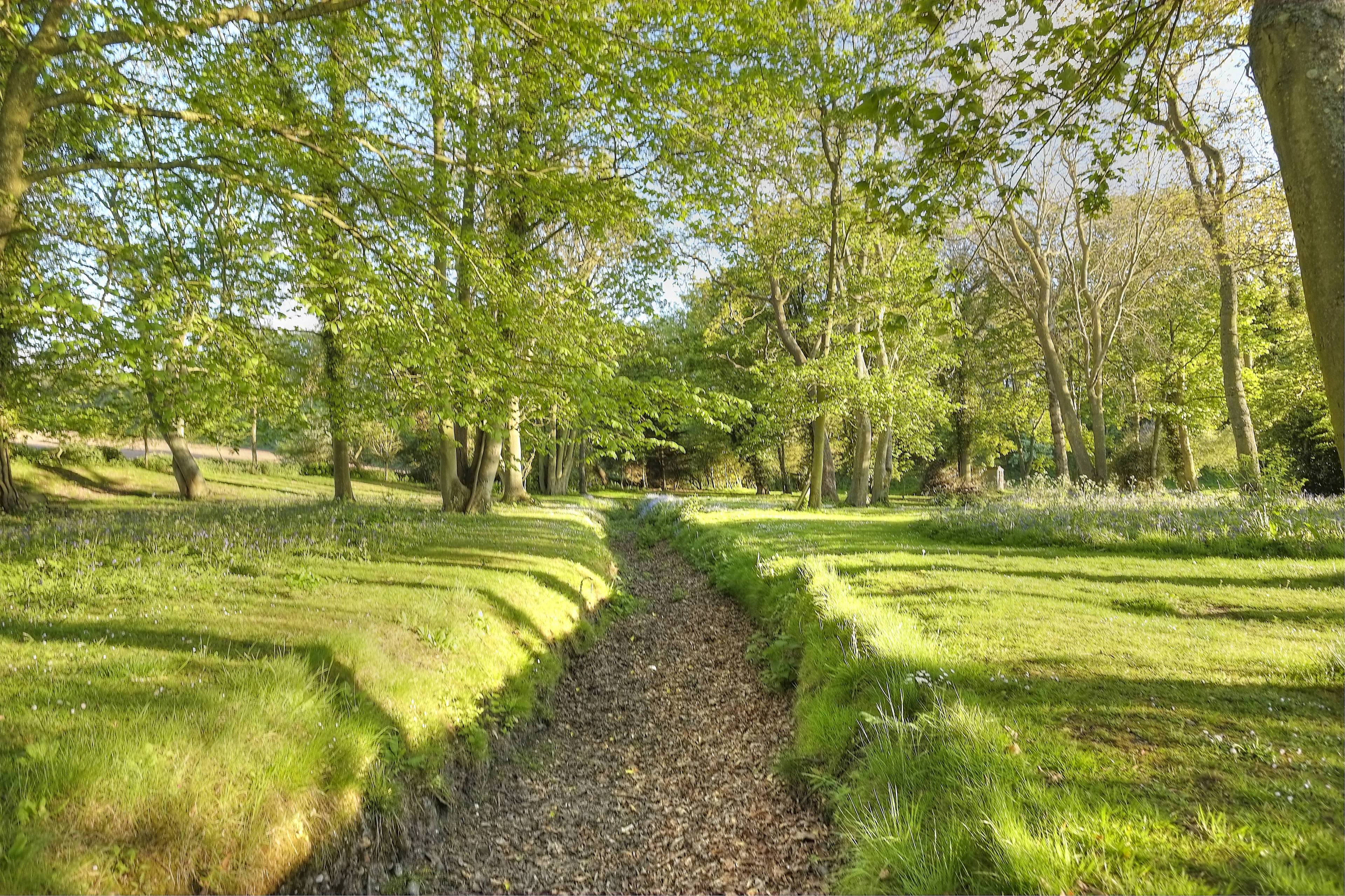 Grounds