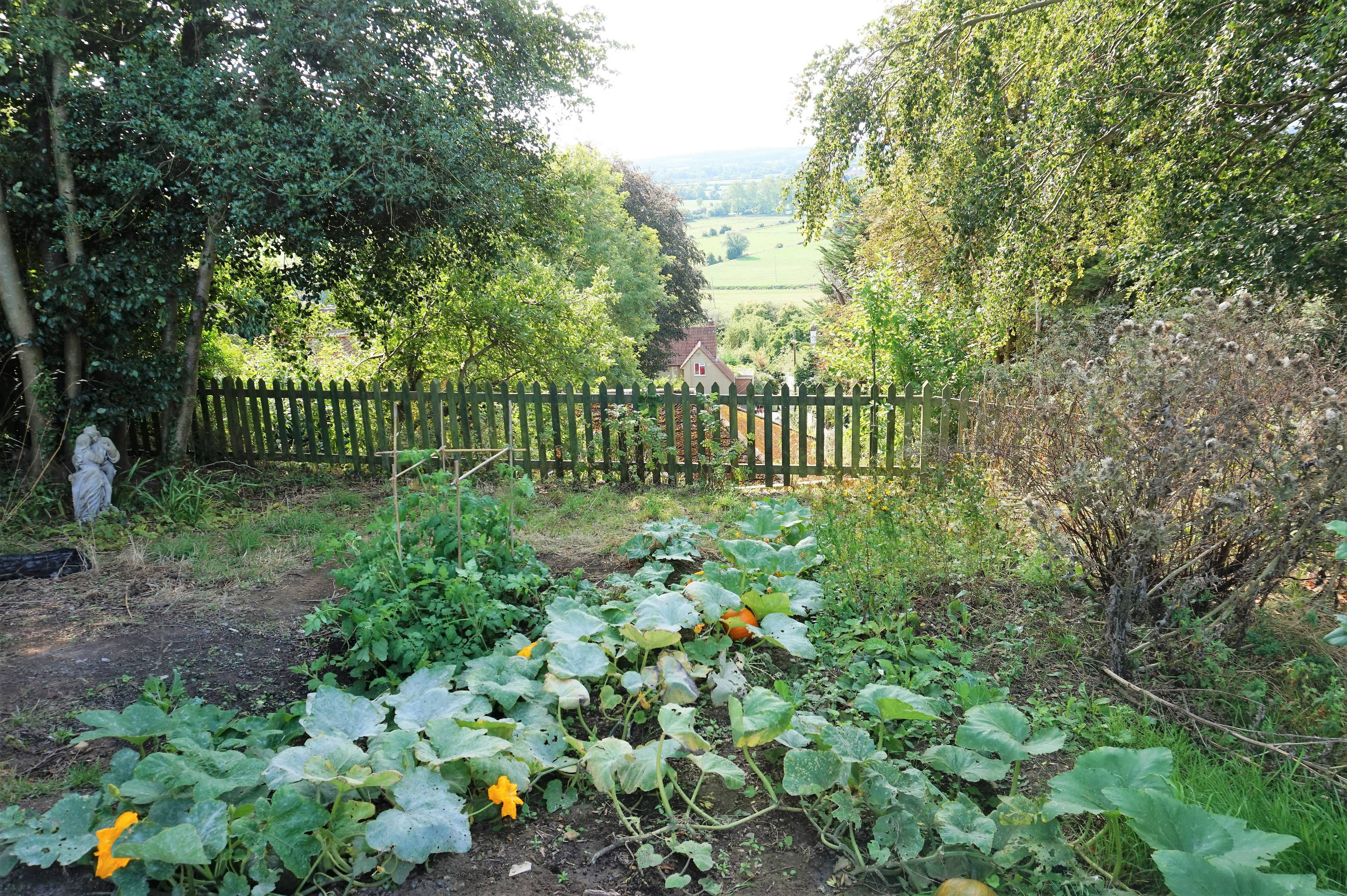 View Of The Property