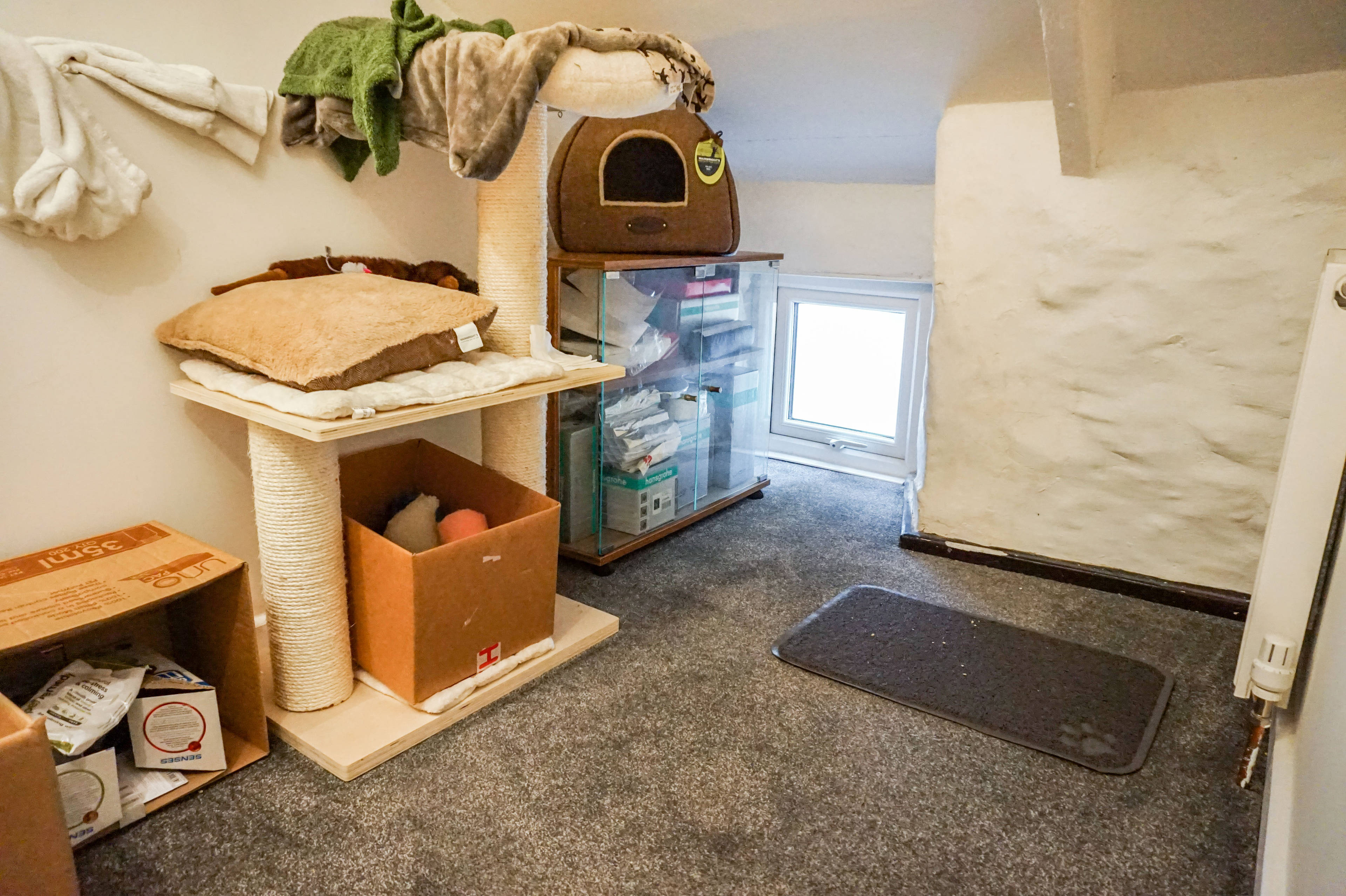 Snug / Office