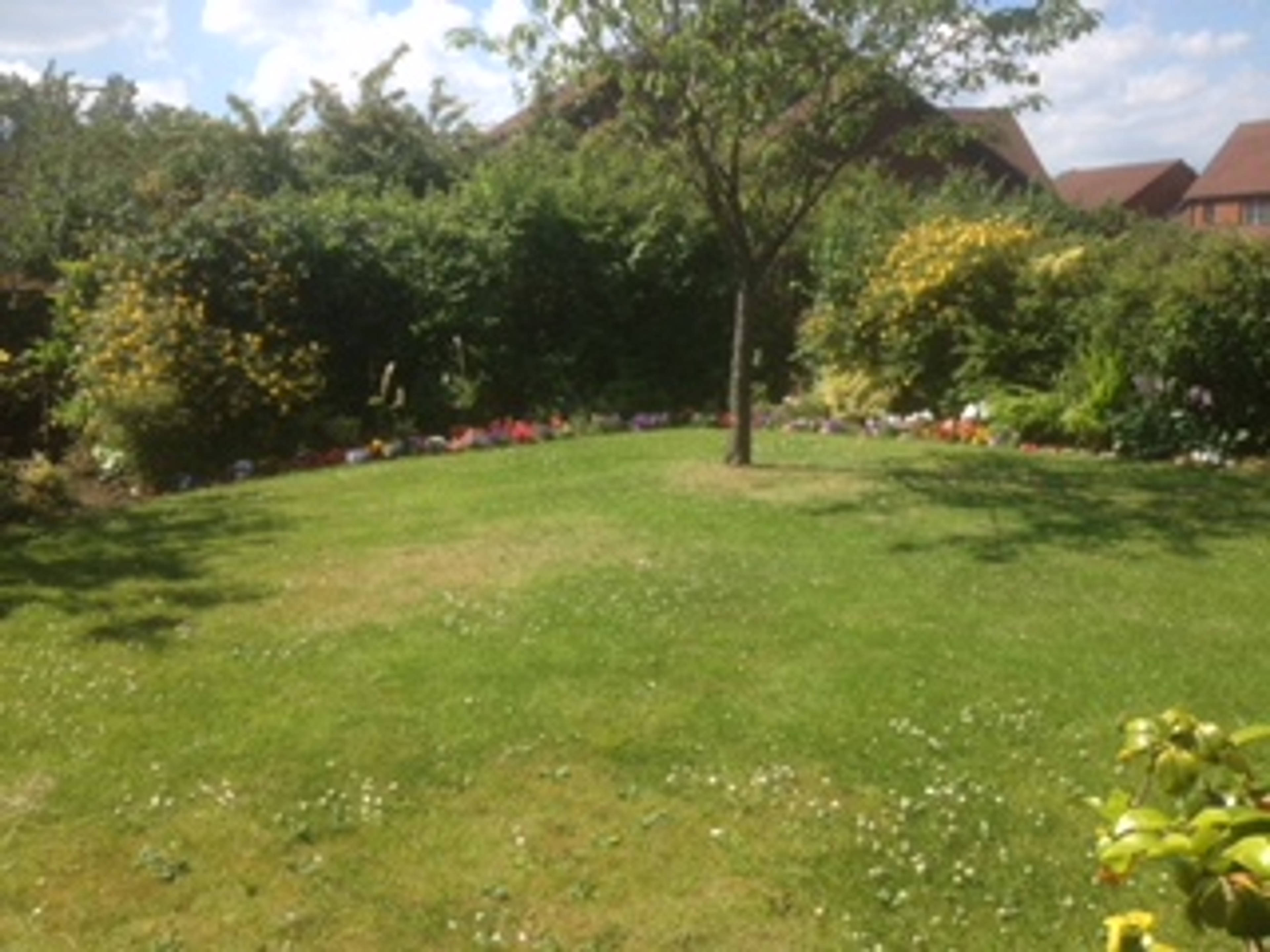 Front Garden