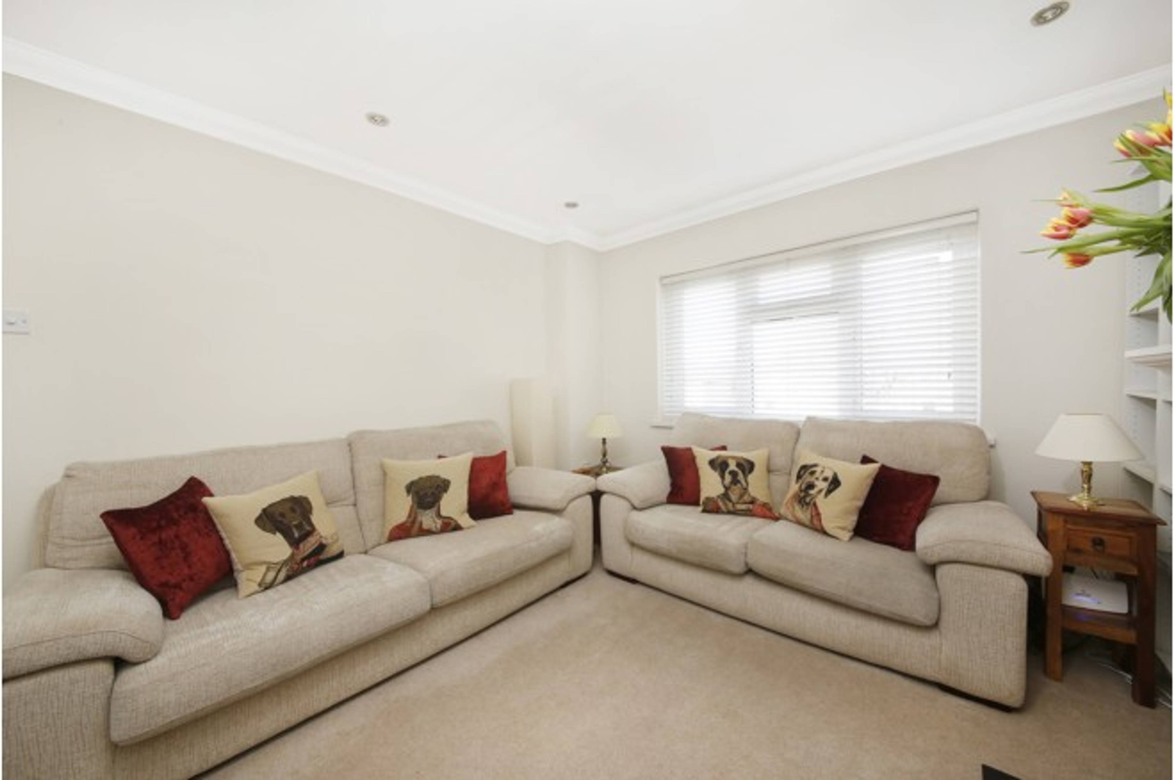 Living Room/Bedroom