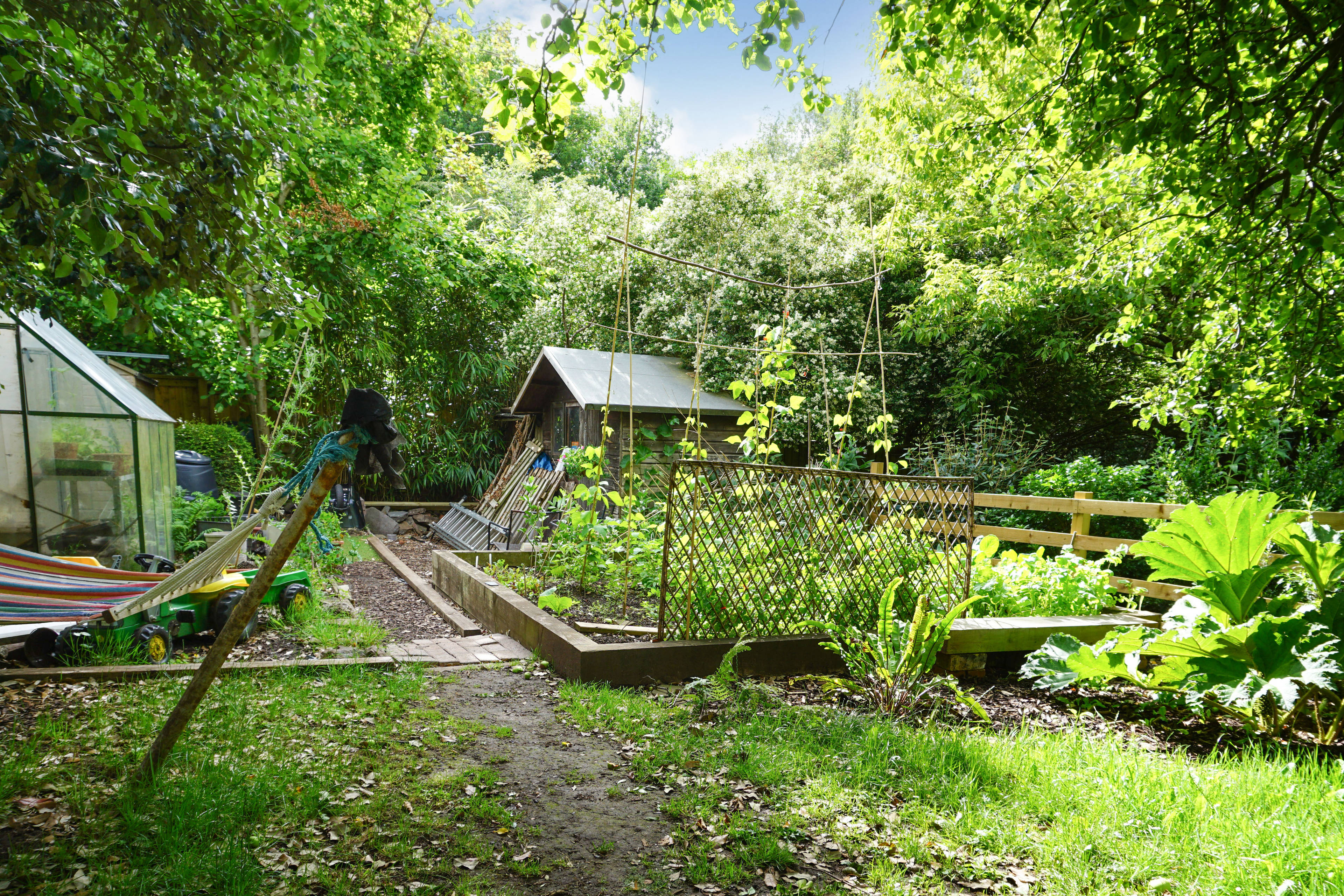 Garden