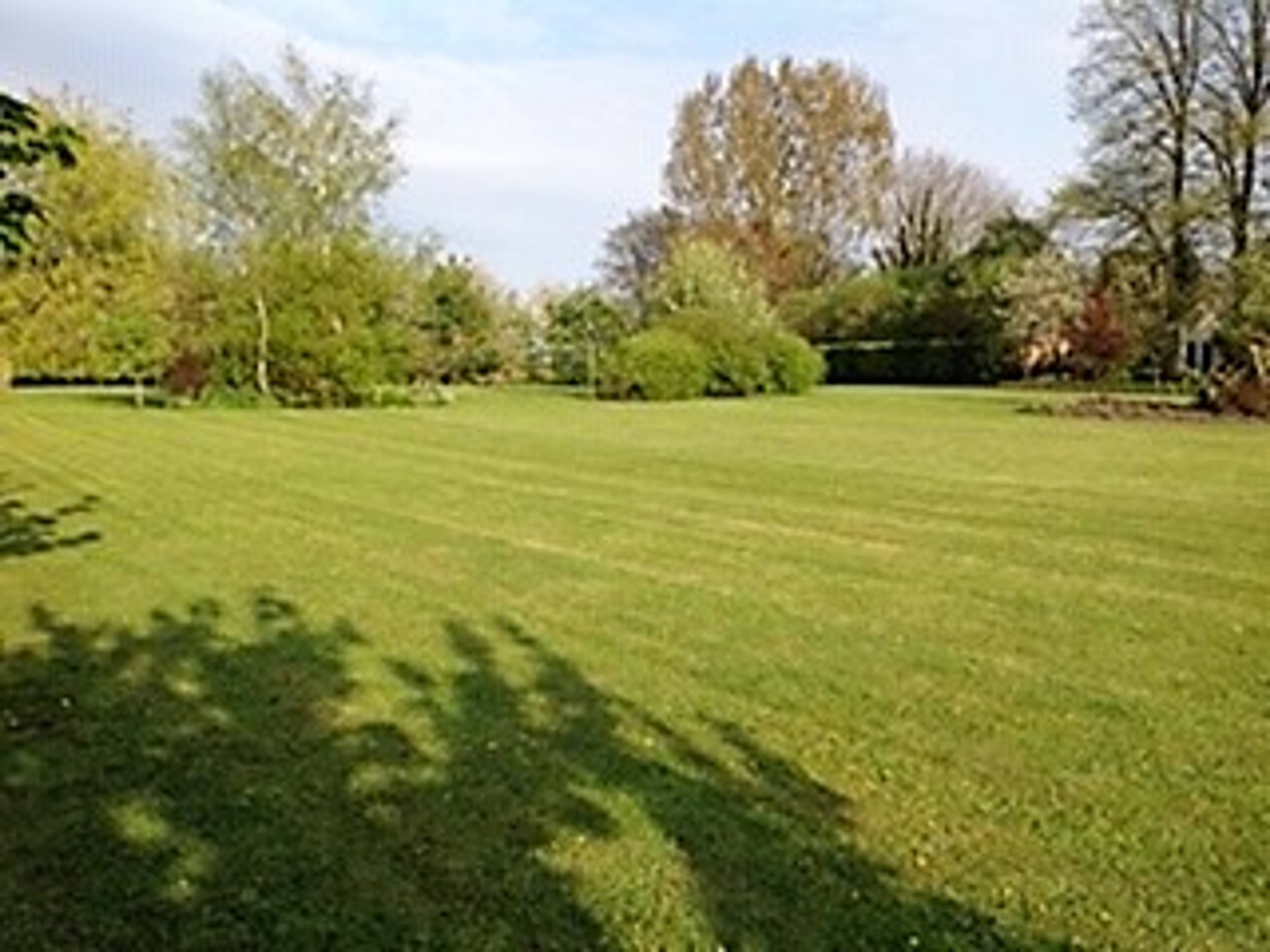 Paddock