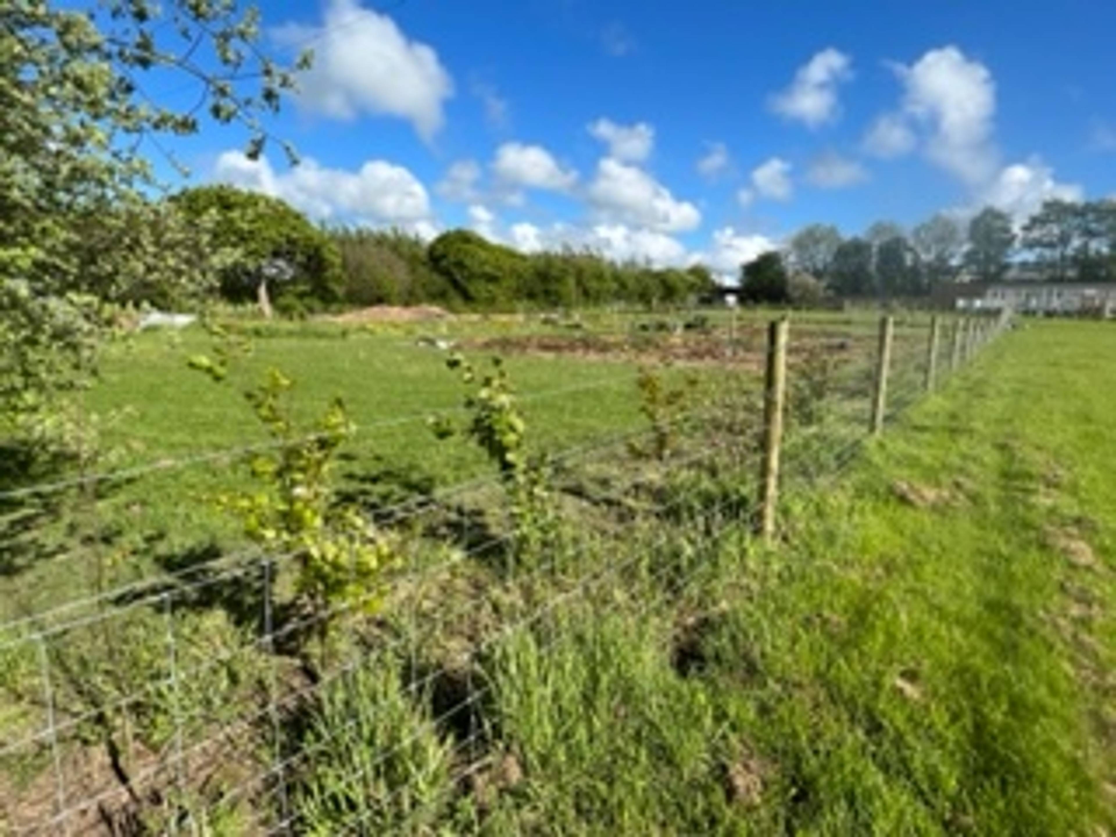 Land