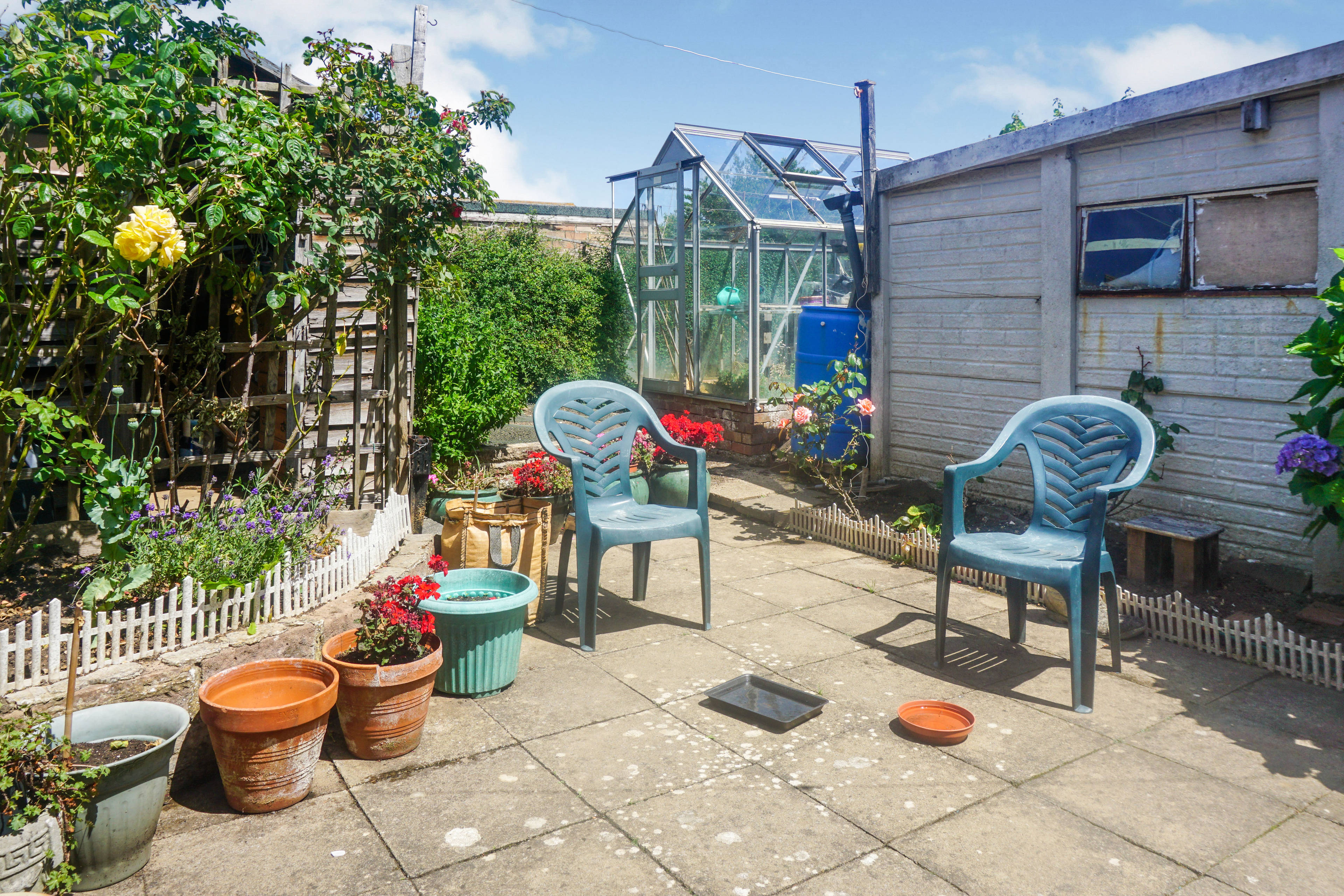 rear garden