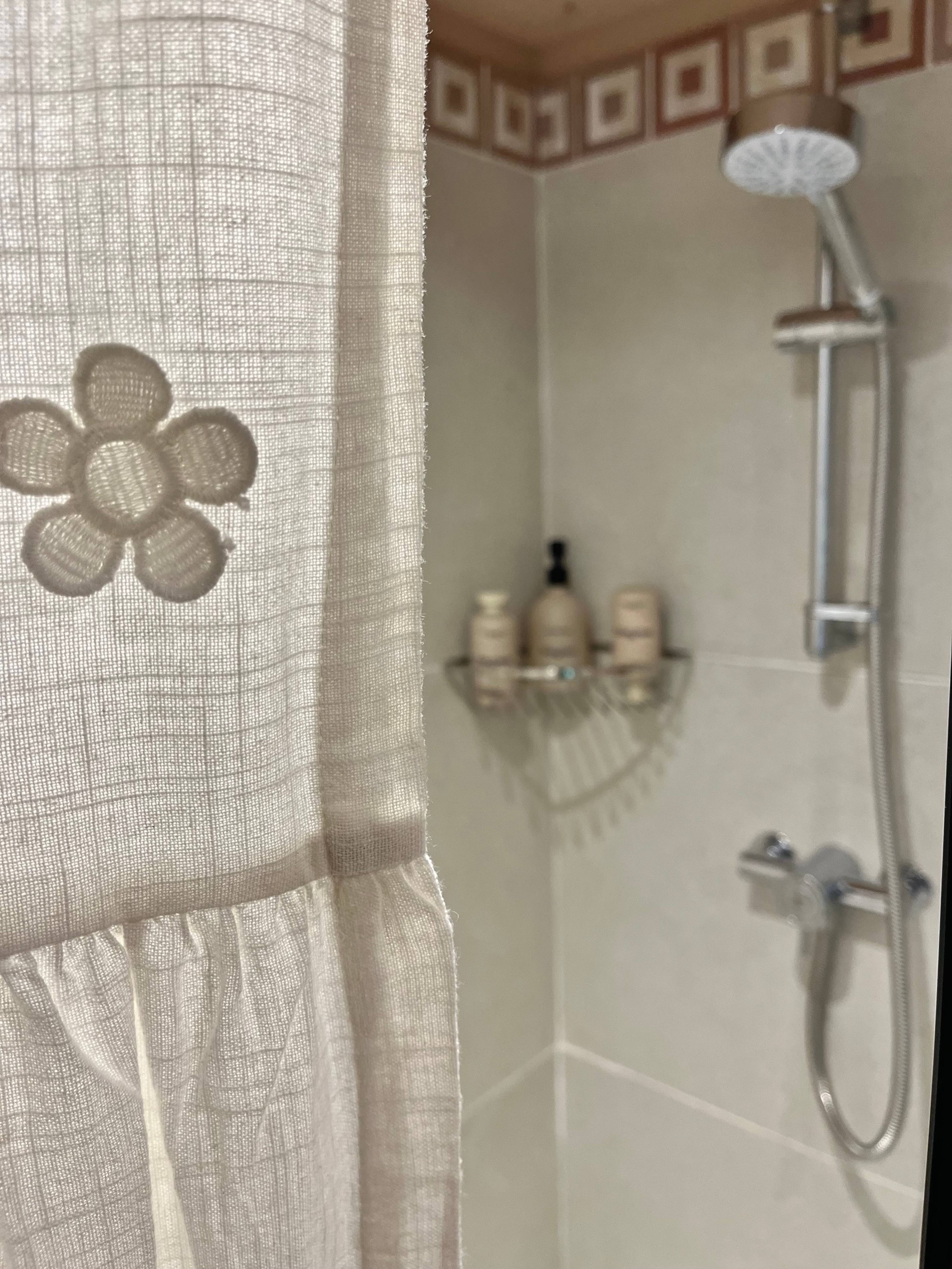 Annexe Shower Room