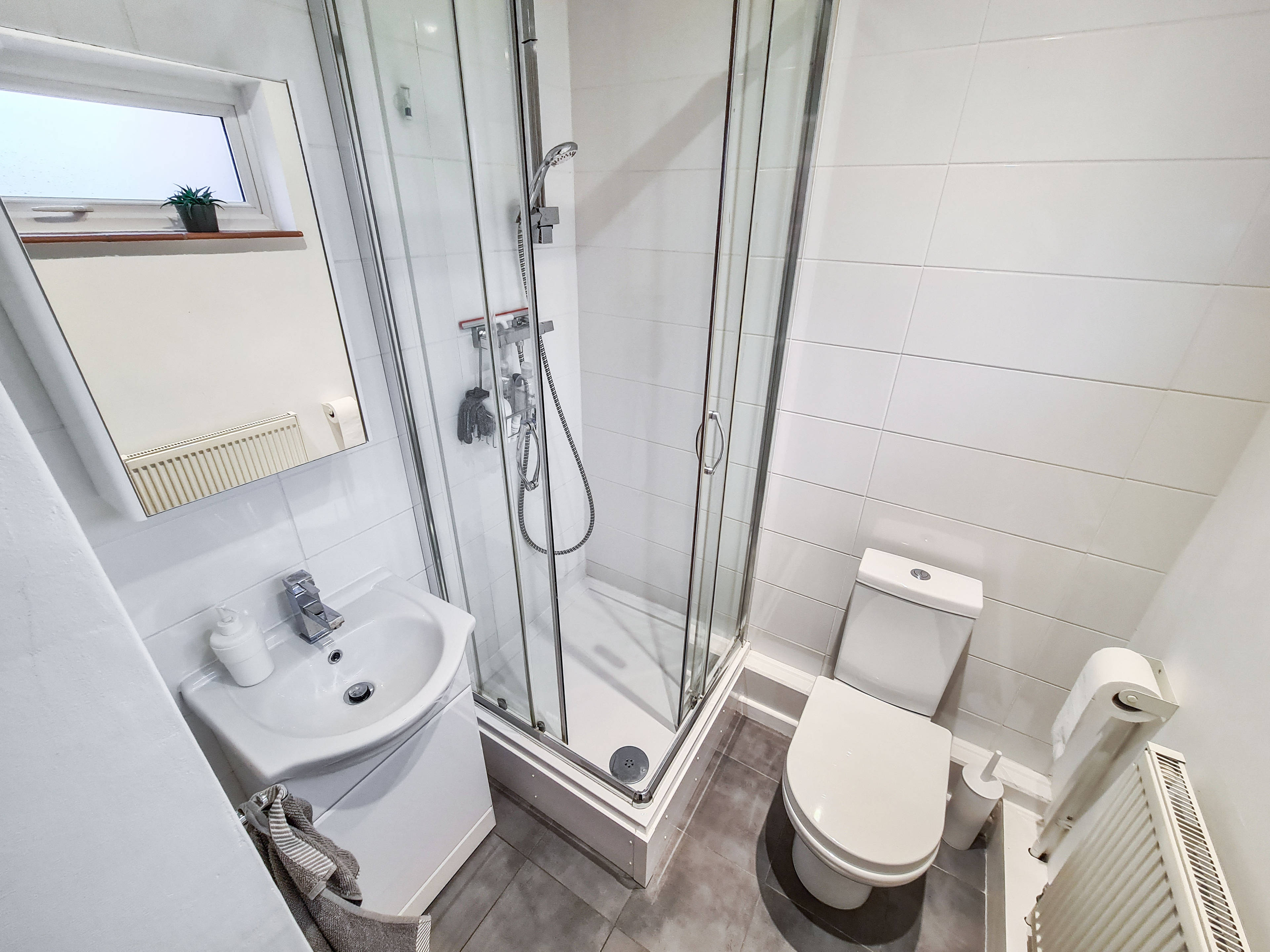 Downstairs Shower