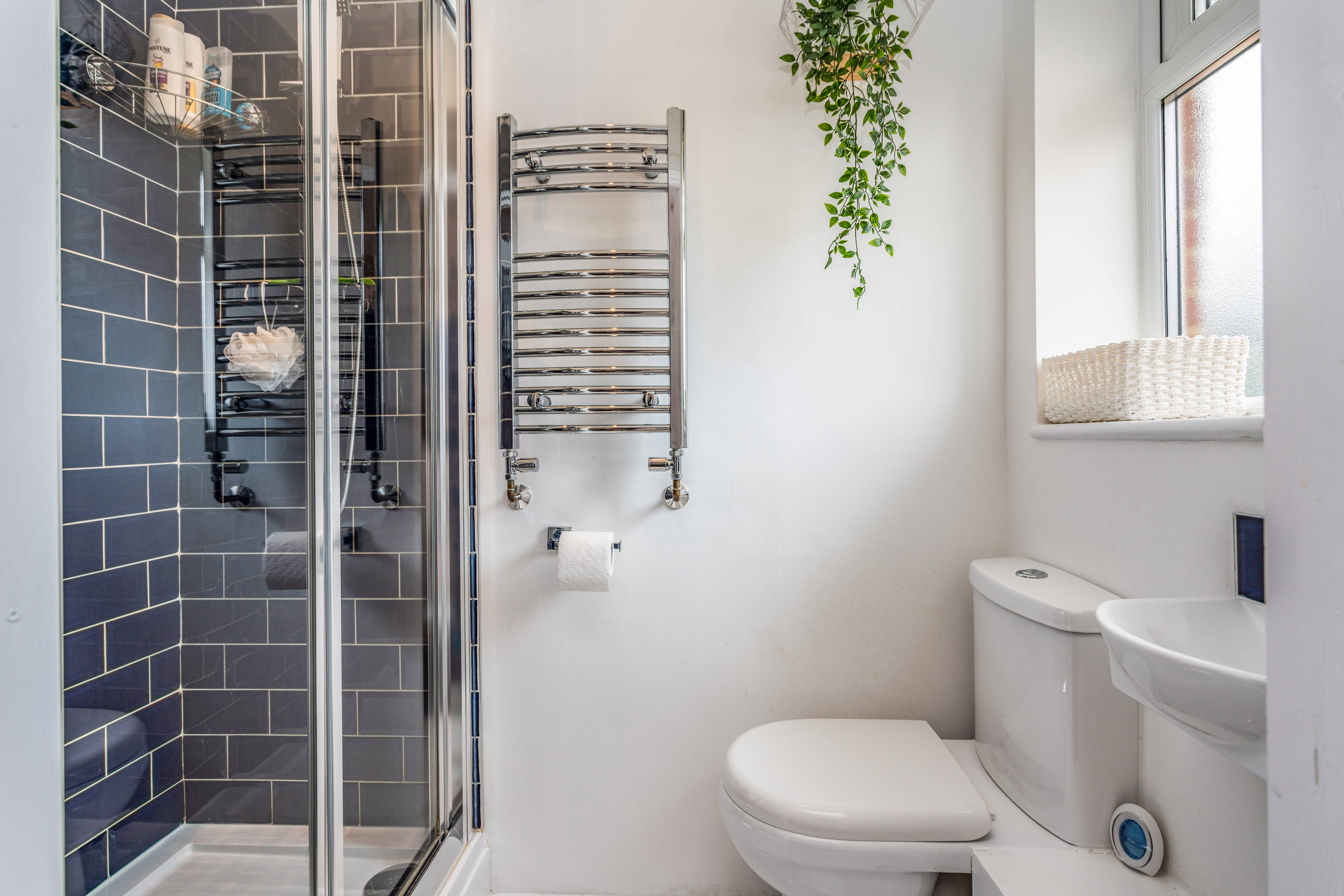 Downstairs Shower