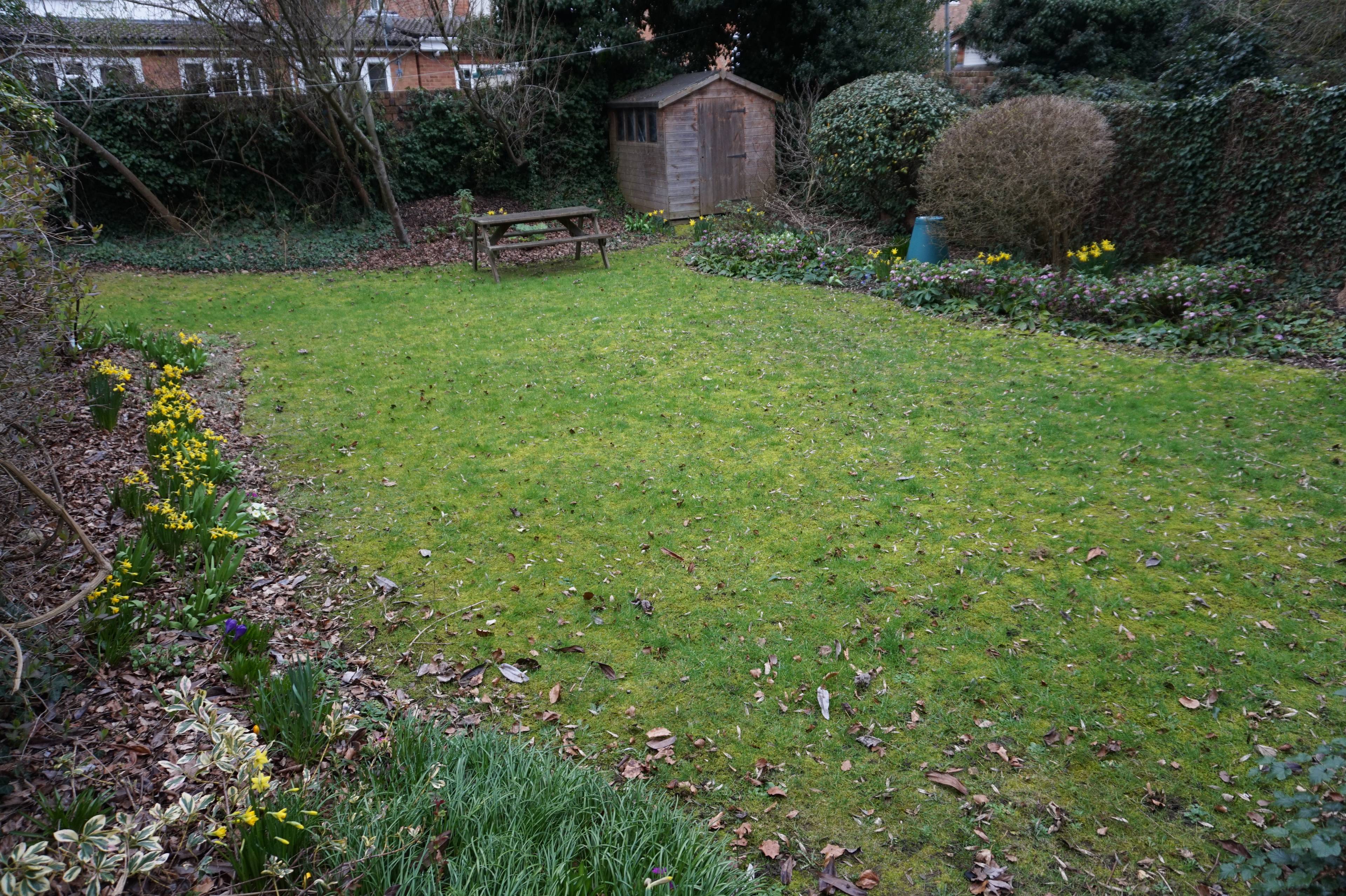 Communal Gardens