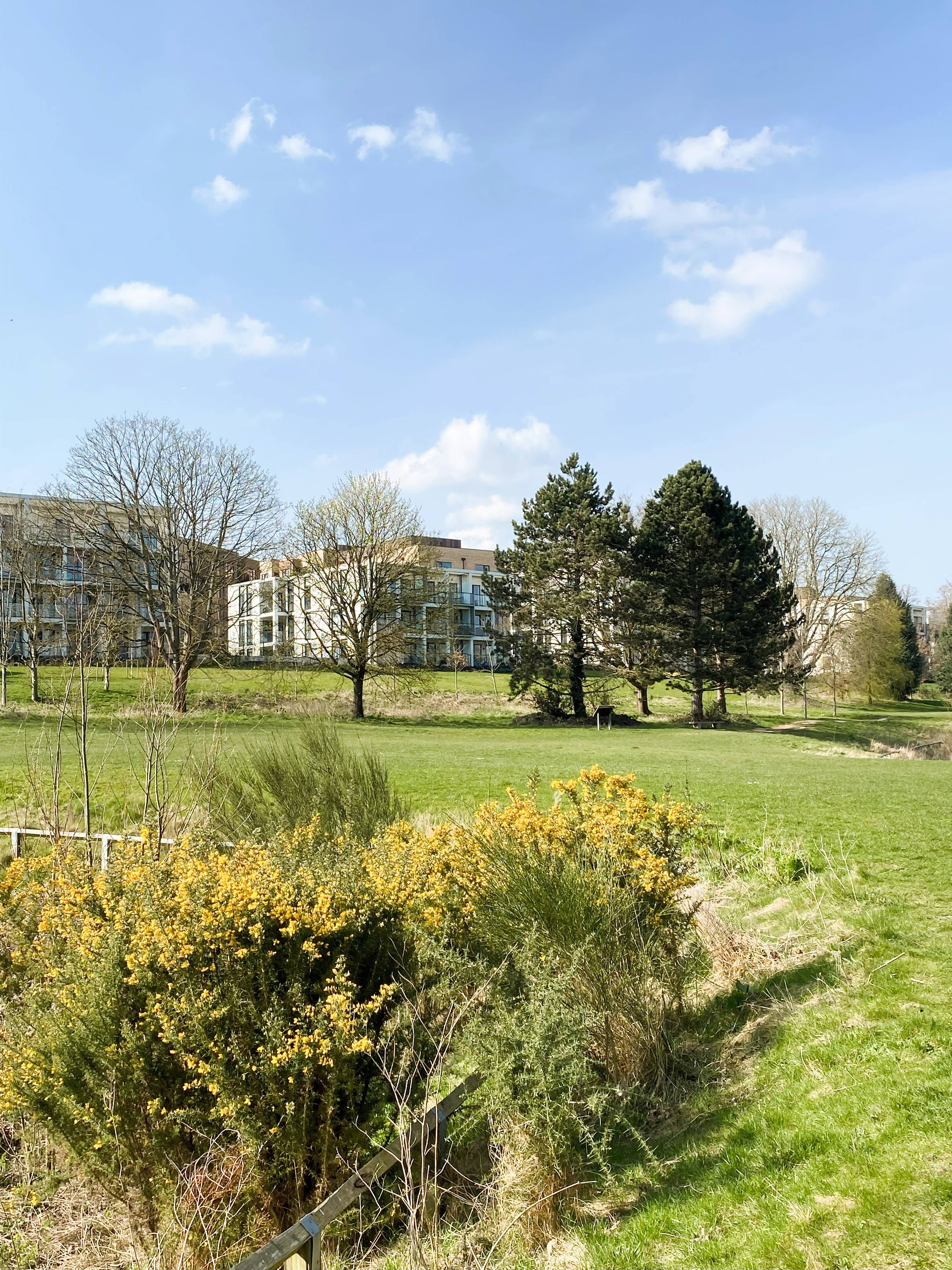 Nearby Park