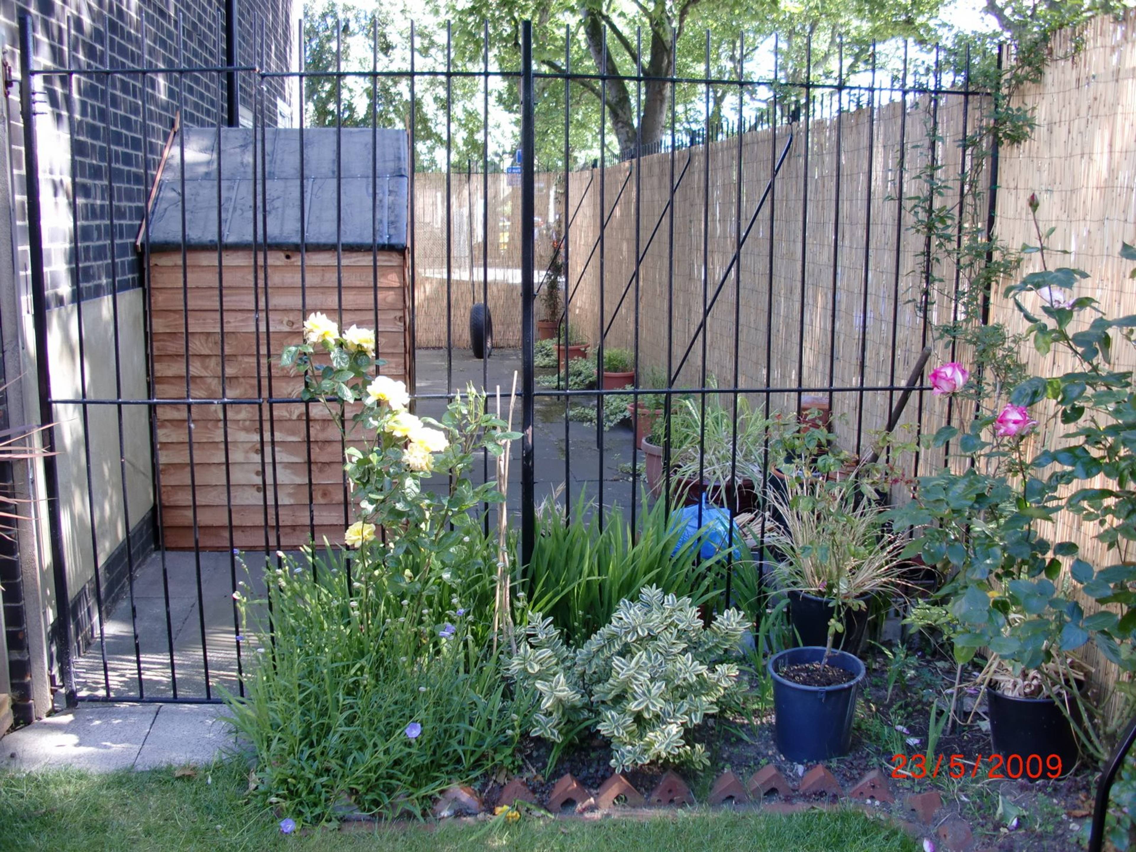 Side Garden