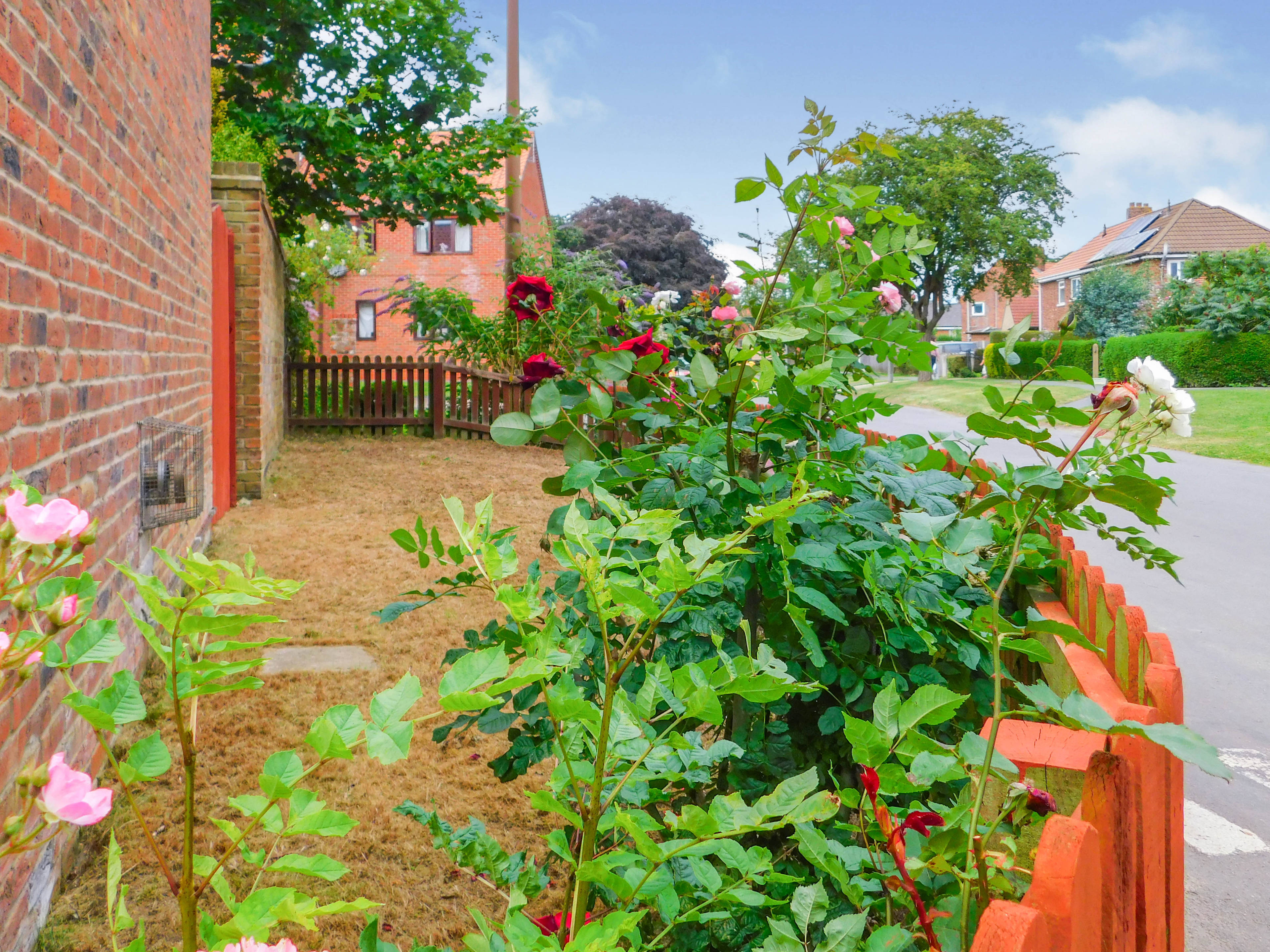 Side Garden
