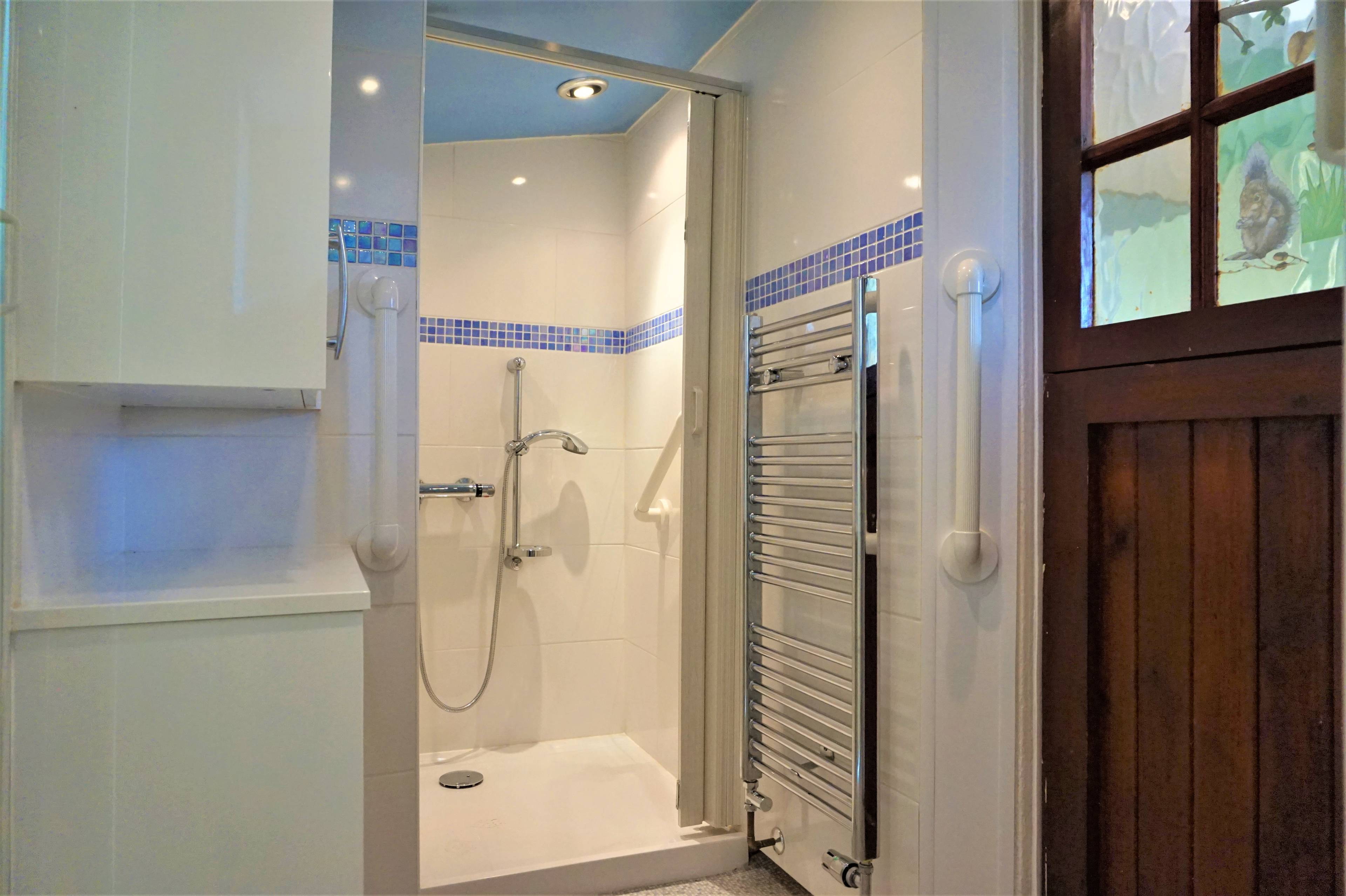 Downstairs Shower